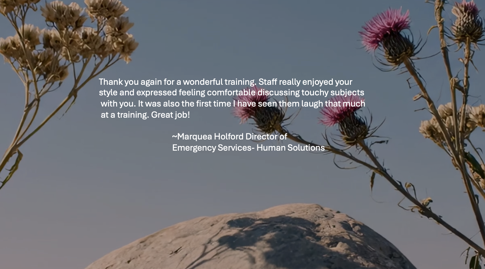 Screenshot 2026-02-20 at 12.25.30 PM.png