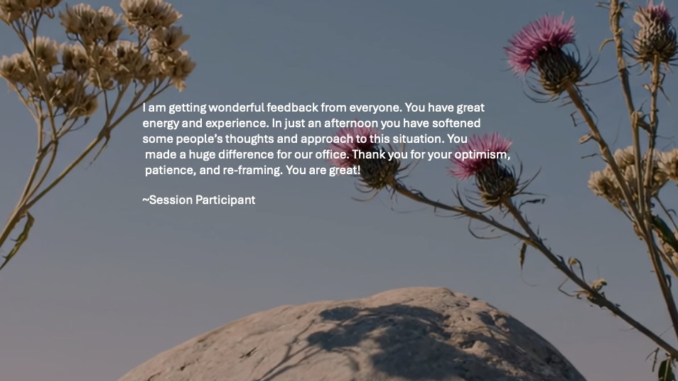 Screenshot 2026-02-25 at 12.34.31 PM.png