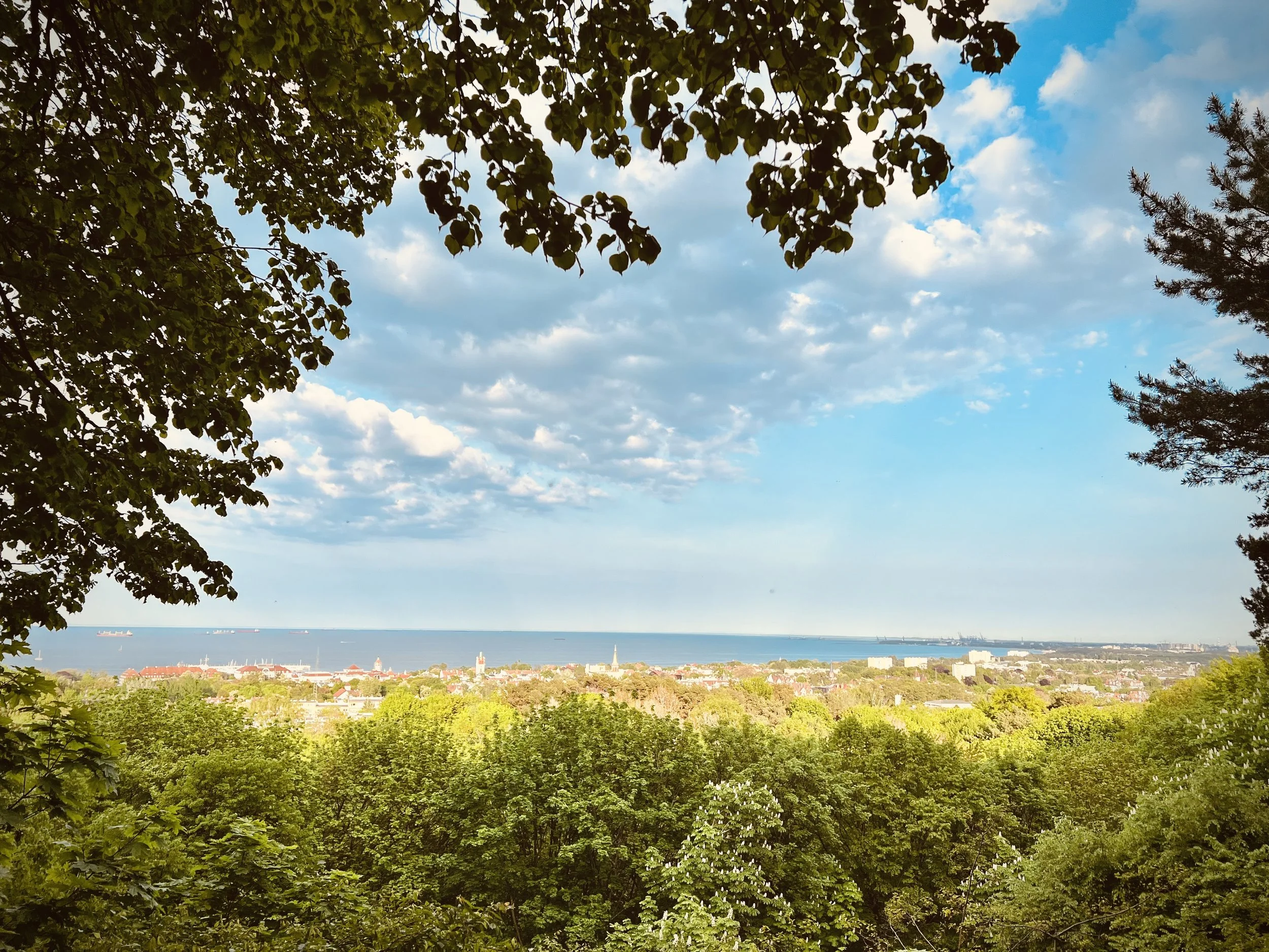 zdjęcie wykonane telefonem w celu znalezienia ciekawego miejsca do fotografii