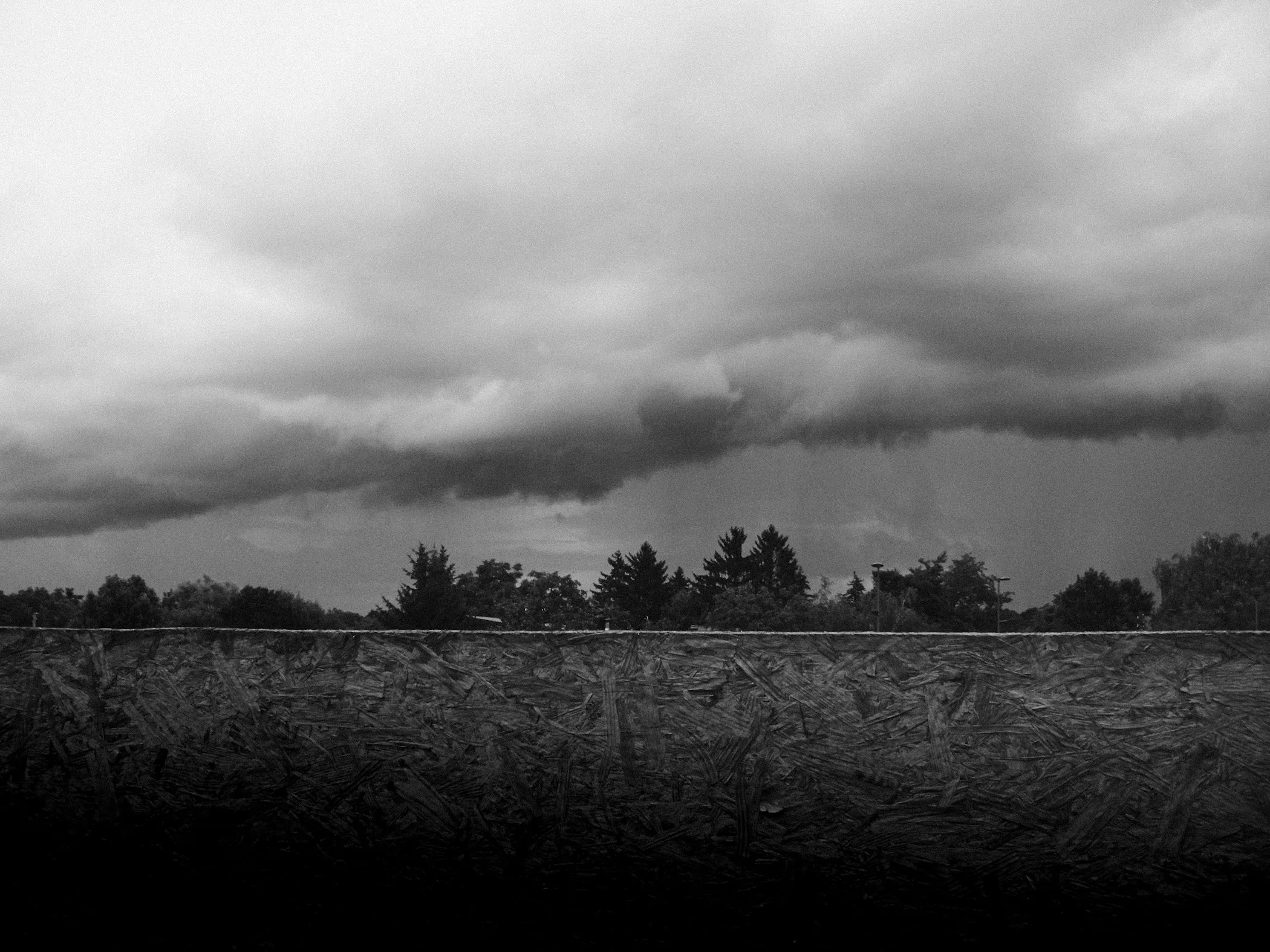 DSCF0039.JPG