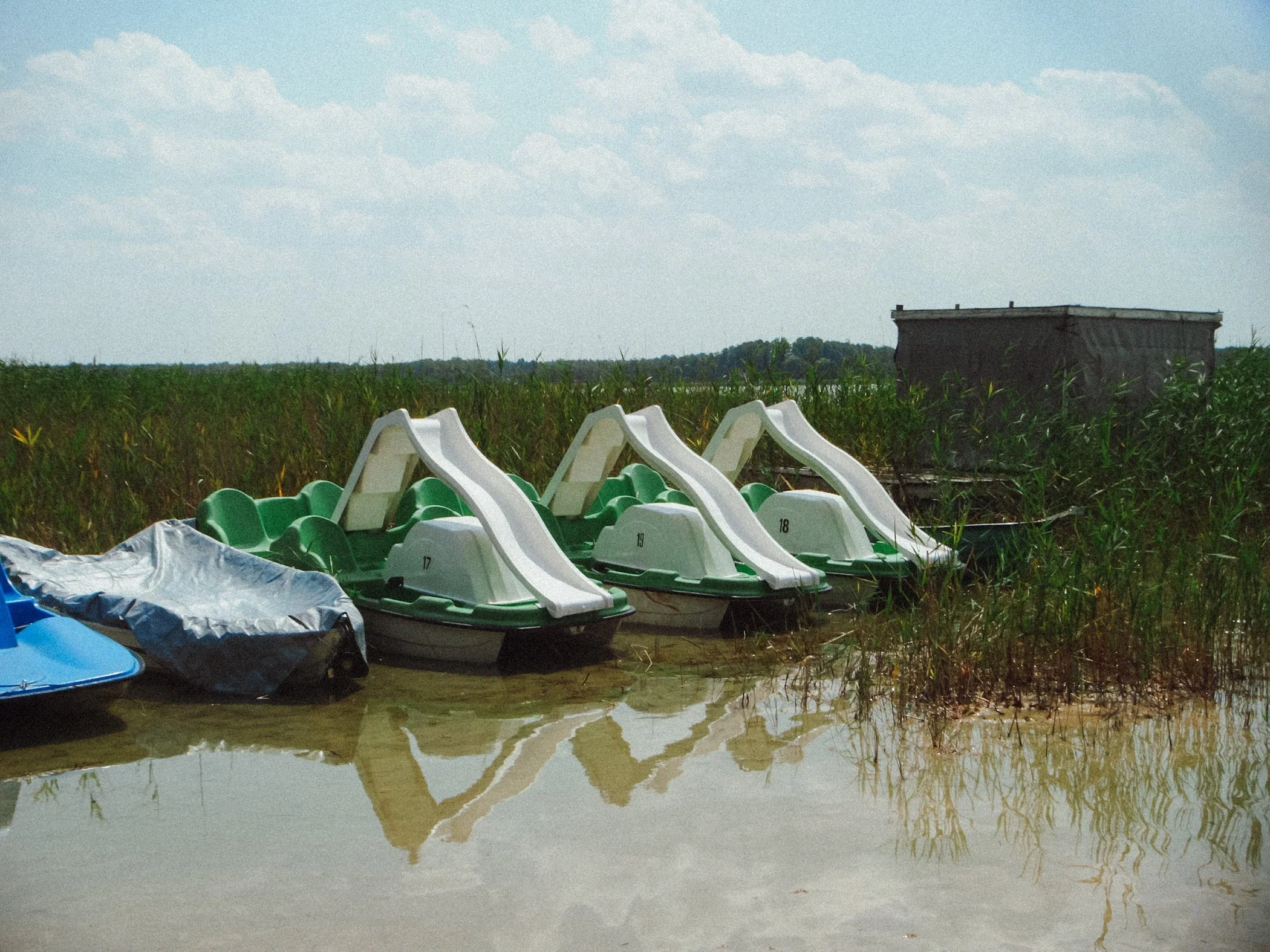 DSCF0005.JPG