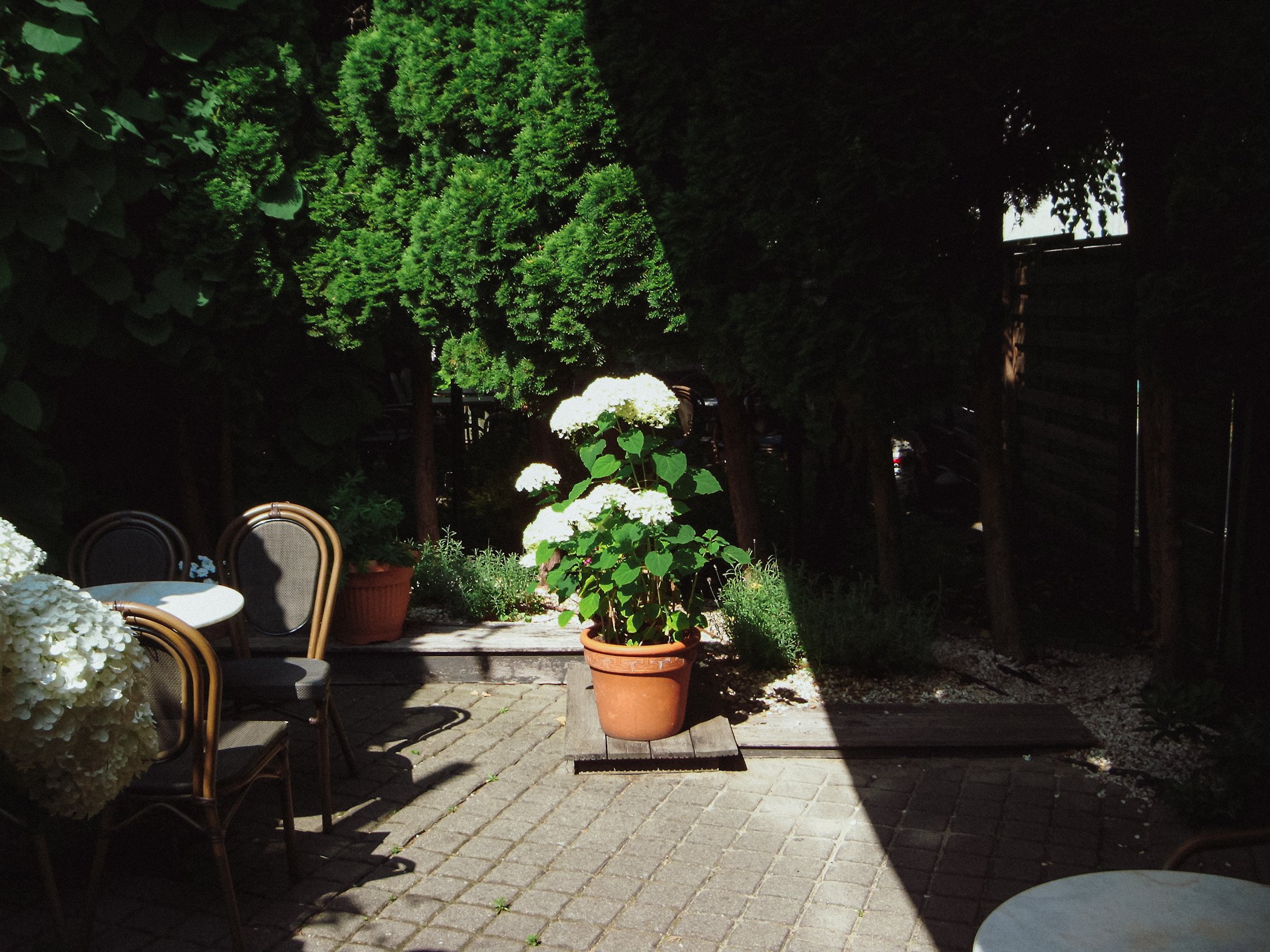 DSCF0024.JPG