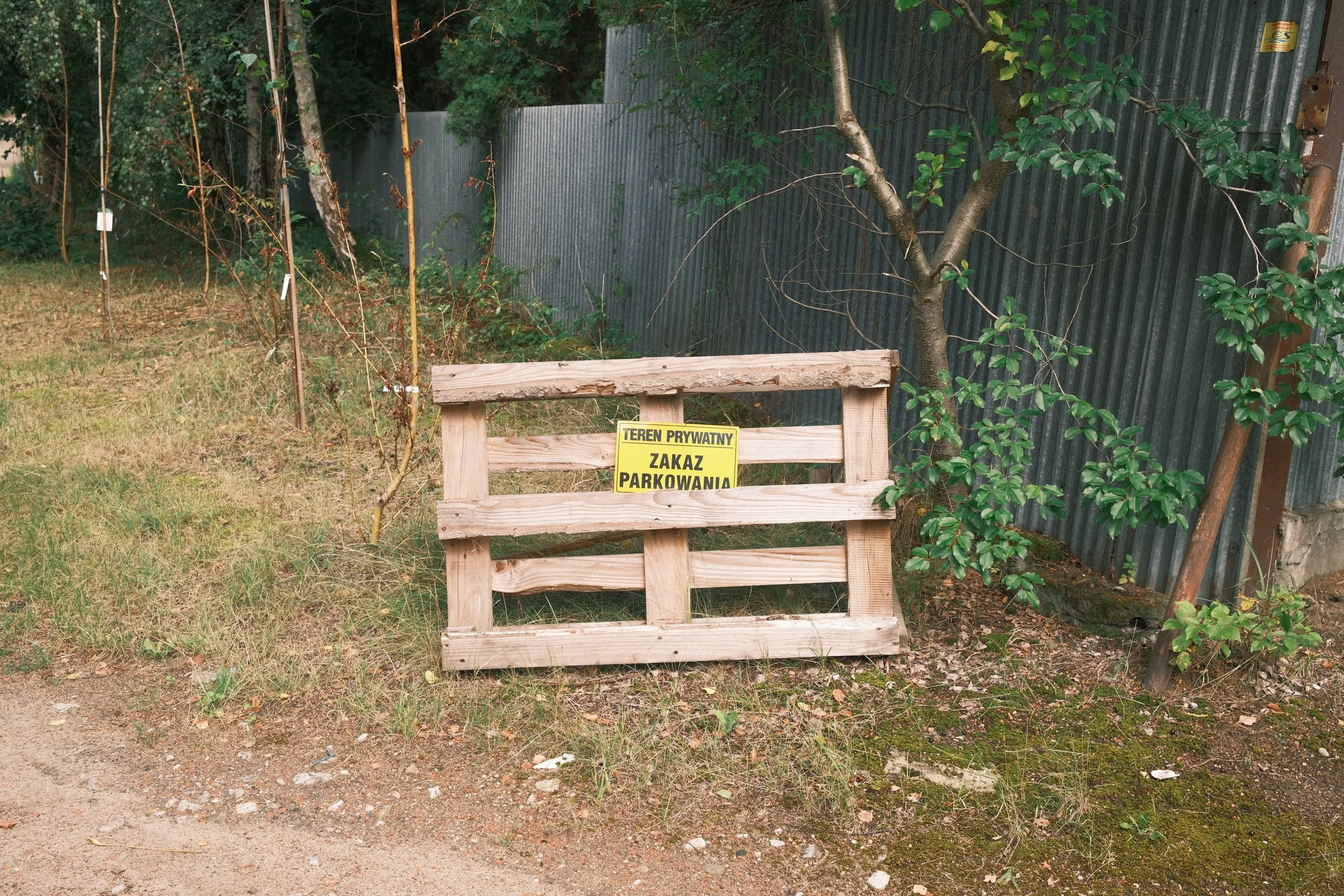 DSCF6015.JPG