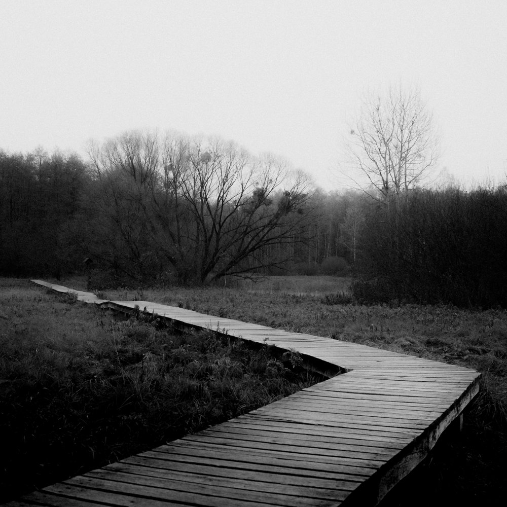 Black and white photo of a winding wooden boardwalk through a natural landscape with trees and grass.