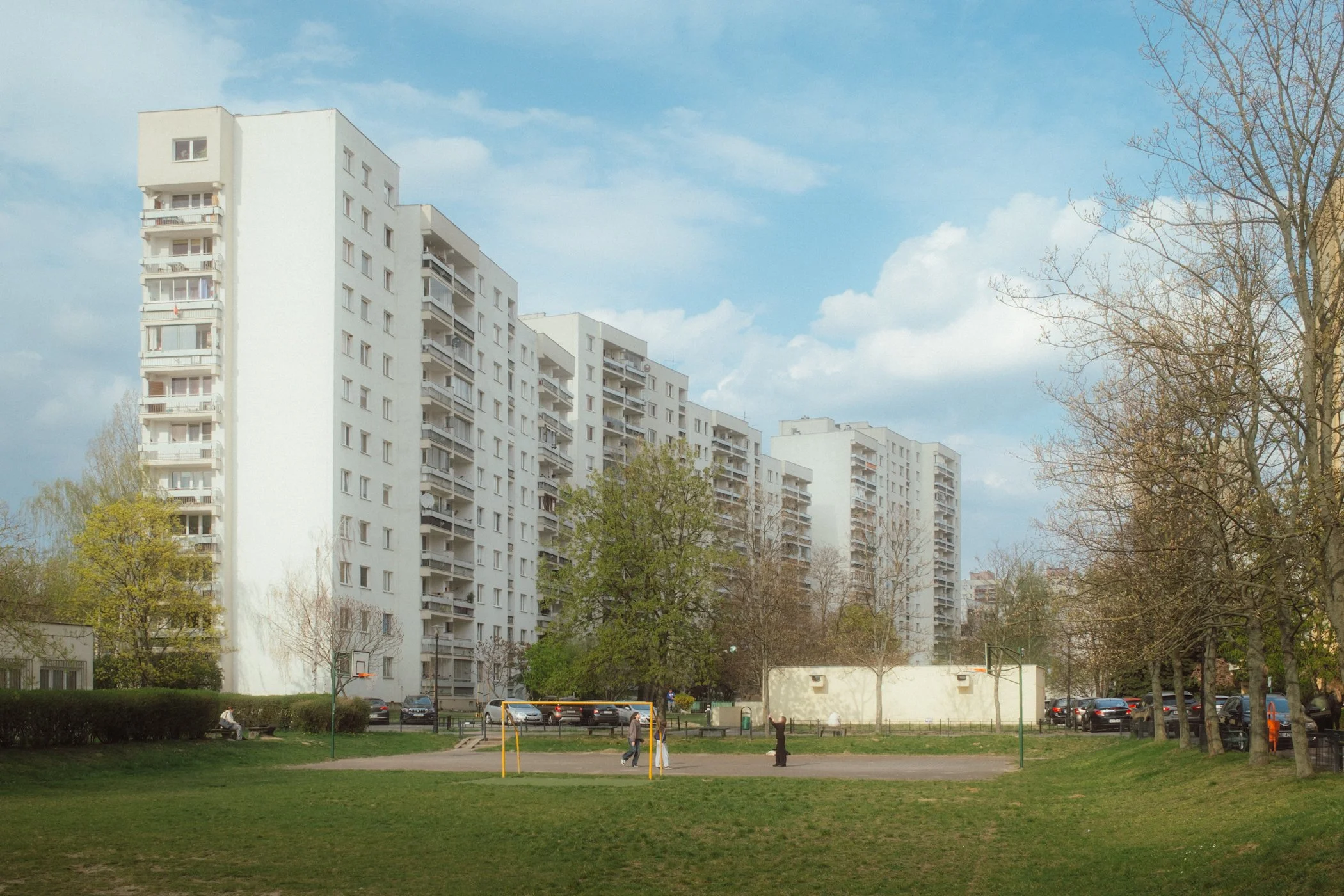 DSCF3116 4.JPG