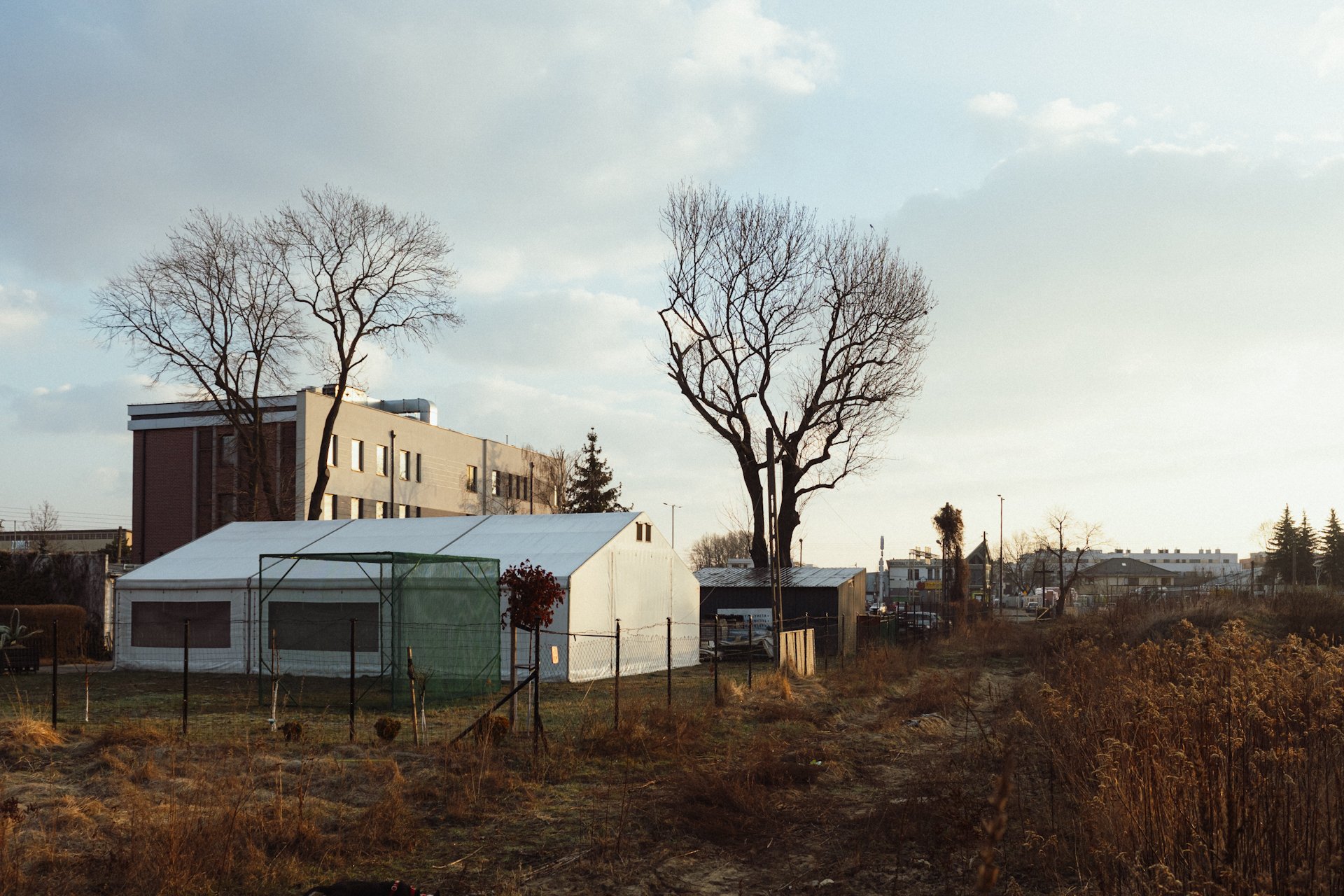A semi-rural scene at sunset with a white greenhouse, leafless trees, an apartment building, and a small shed behind a fence, with a cloudy sky.