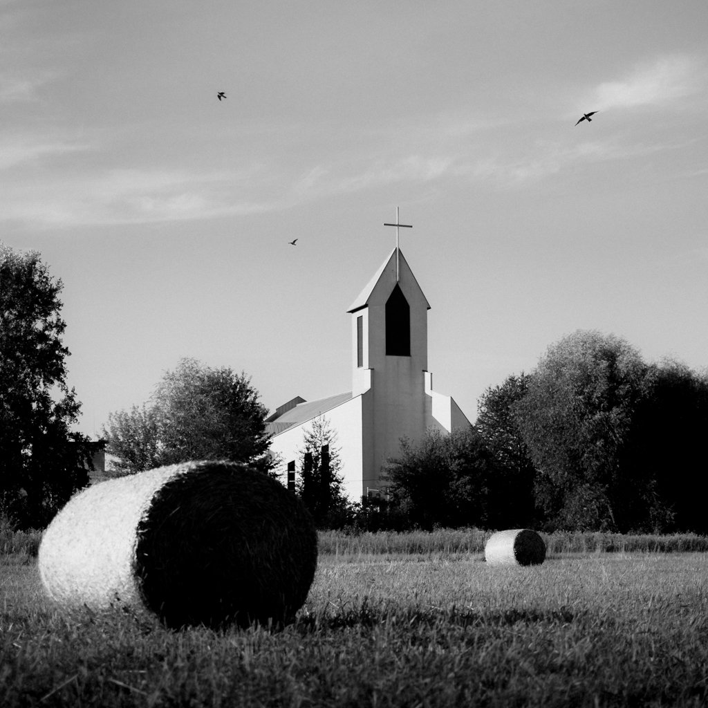 A black and white photo of a church surrounded by trees, with hay bales in a field in the foreground and birds flying in the sky.