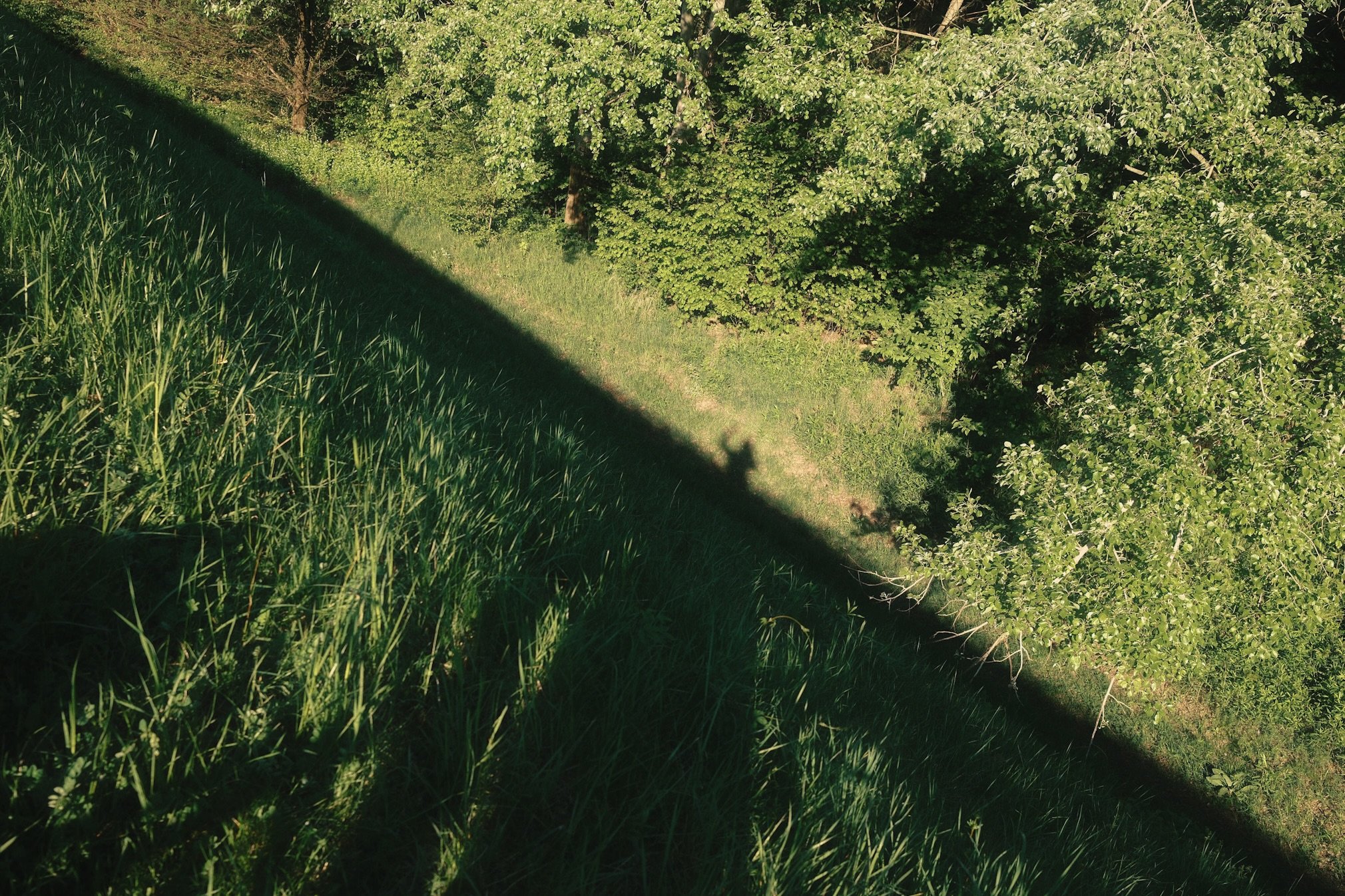 krótki moment uliczny uchwycony małym aparatem fotograficznym