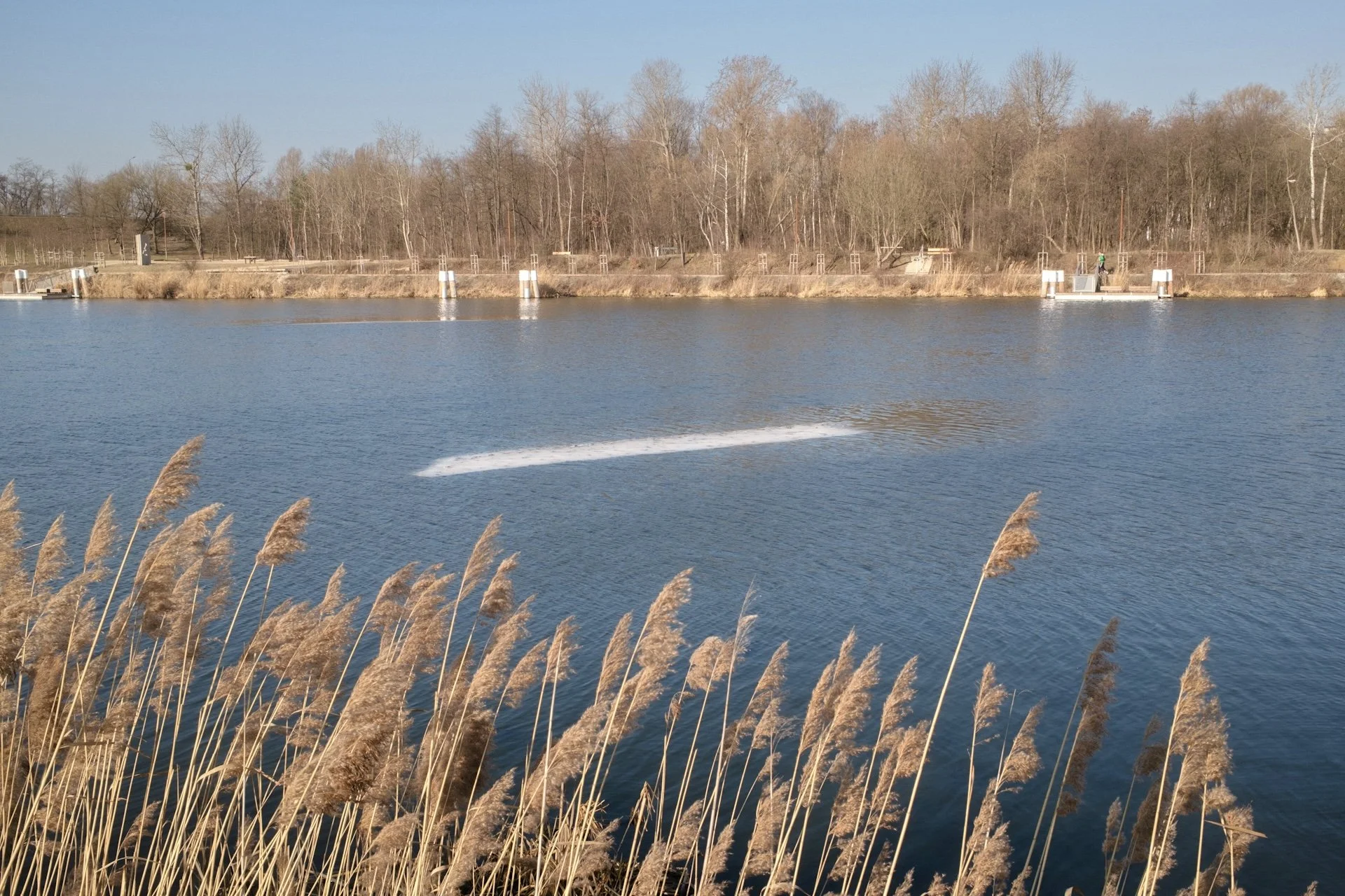 Żółte suche trawy nad Kanałem Żerańskim oraz fragmenty lodu unoszące się na wodzie w porannym świetle.