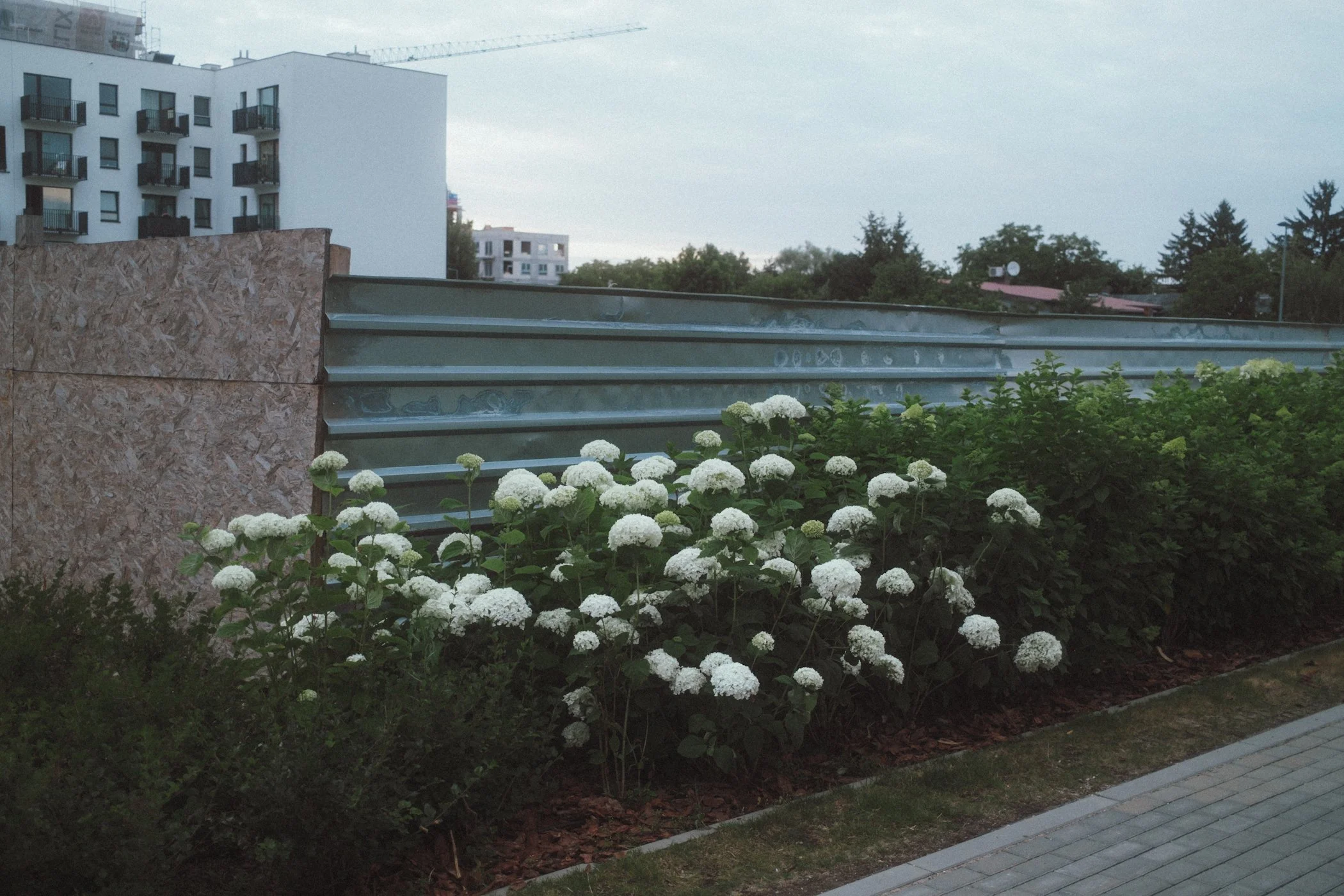 DSCF5118.JPG