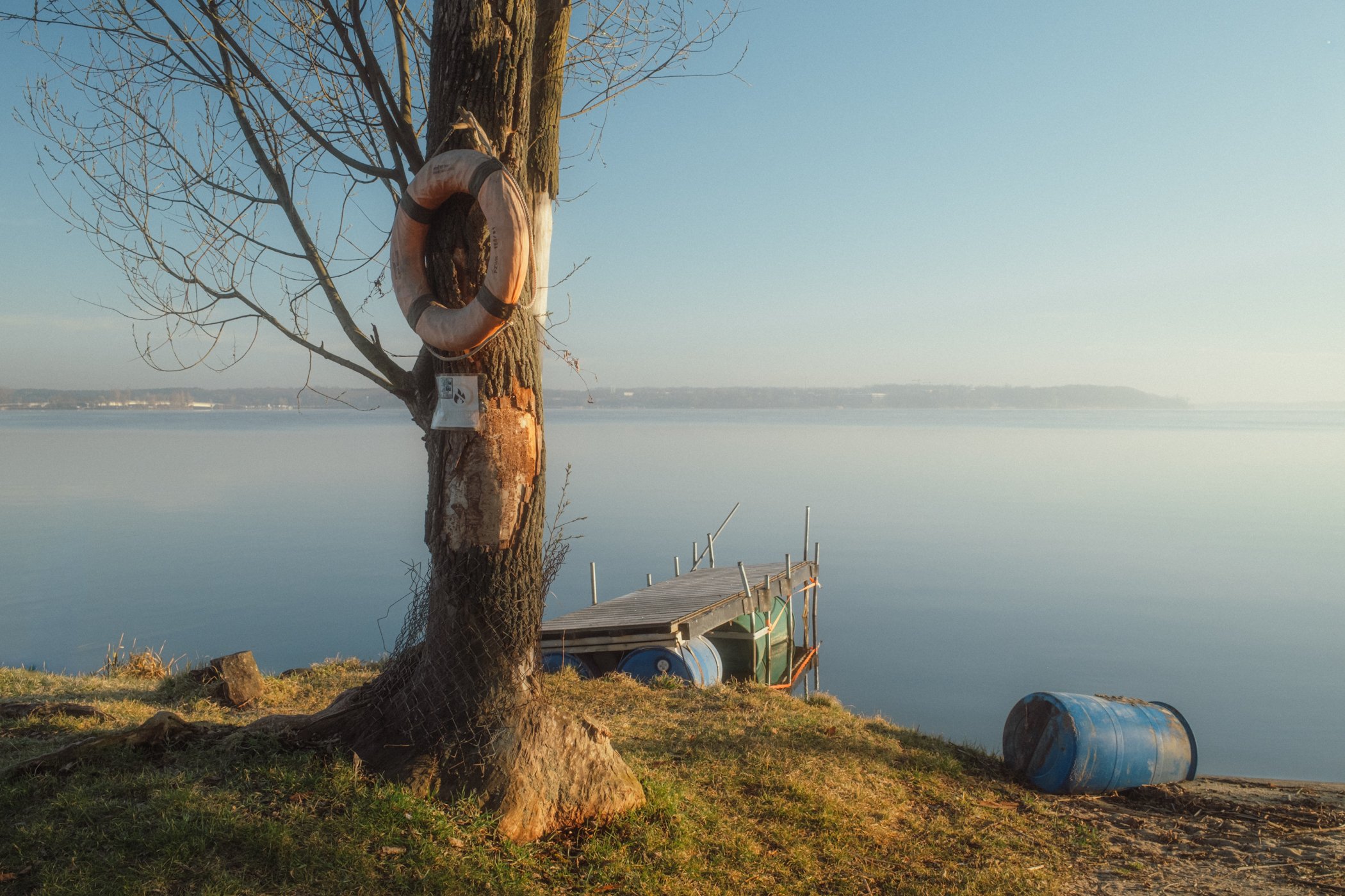 Drzewo z kołem ratunkowym nad wodą i mały pomost nad Zalewem Zegrzyńskim