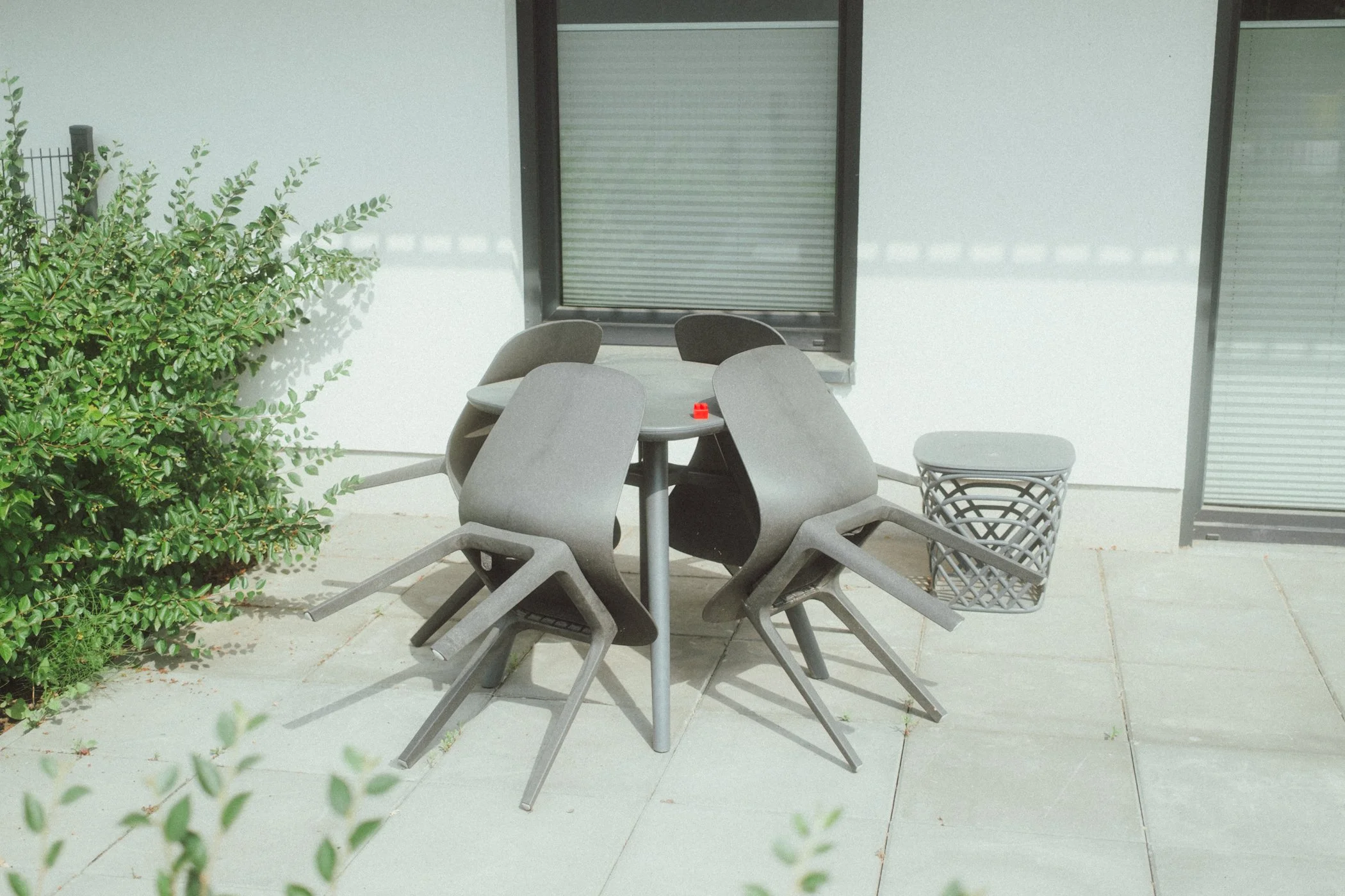 DSCF5180.JPG
