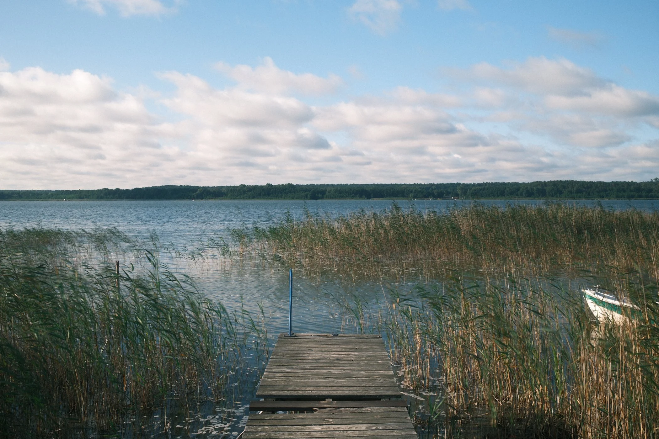 DSCF6117.JPG
