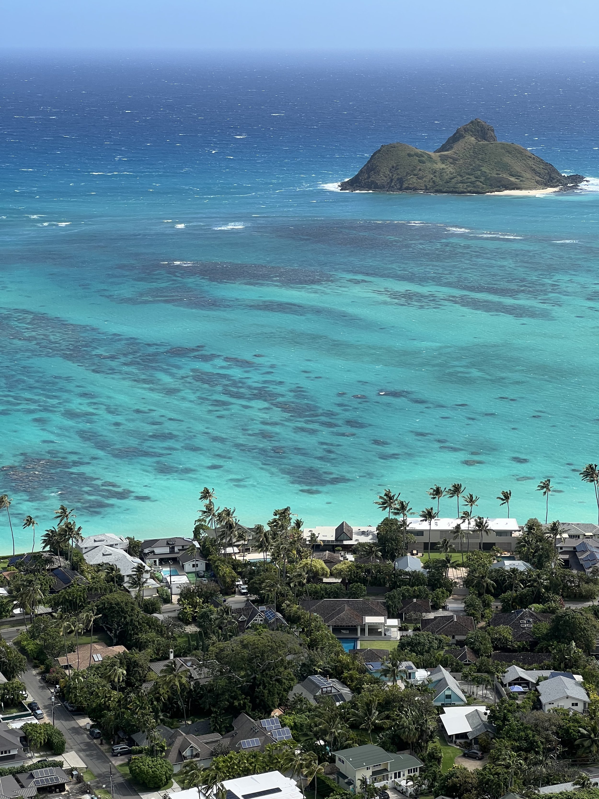 A coastal residential neighborhood with houses, palm trees, and lush greenery, overlooking clear blue ocean water with a small island in the distance.