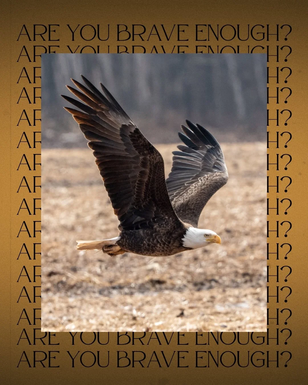 Are you brave enough to live like Brock Smith? Take action in life to be the person you want to be, make every day purposeful and aim for your goals. 

#bebrave #brocksmithandthedaggerofsouls #authorsofinstagram #adventure #originalsoundtrack