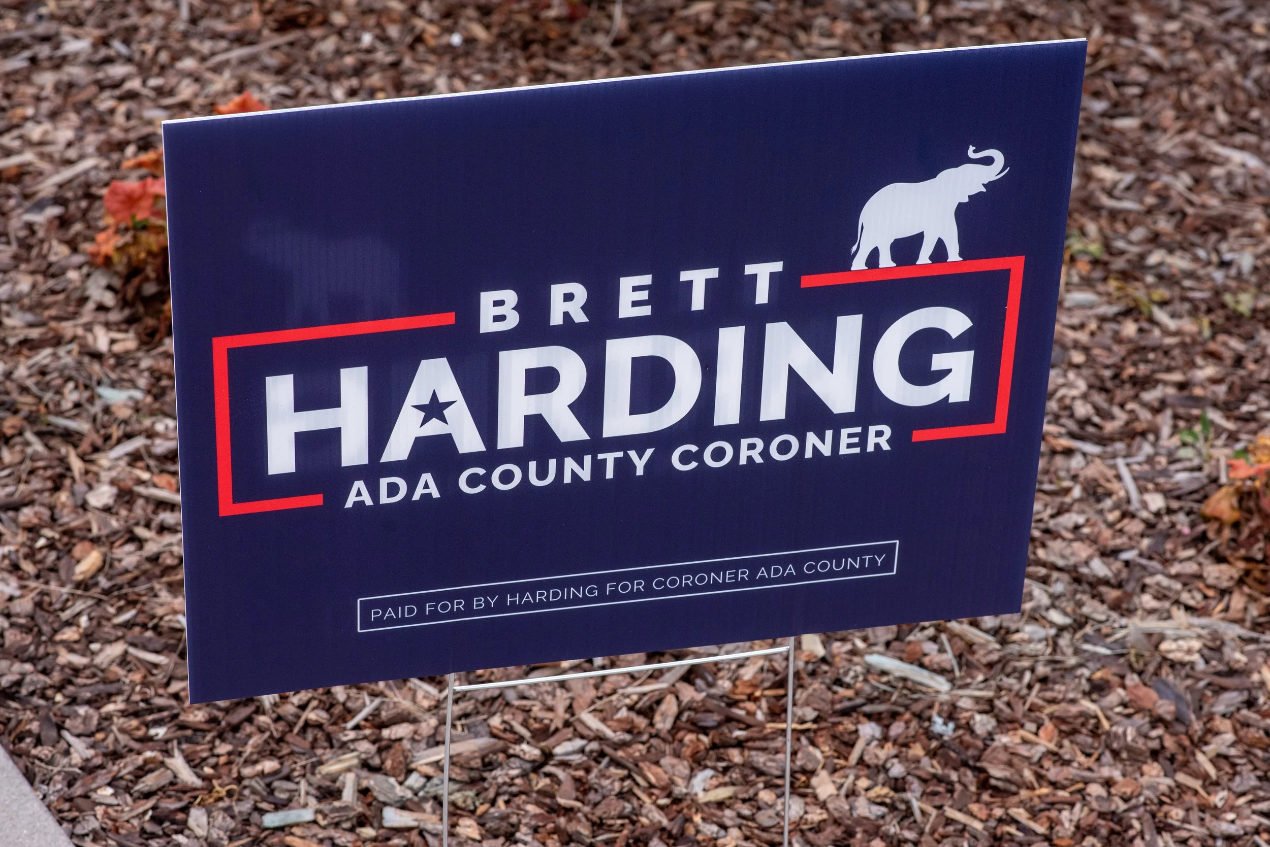 CDJ_2352.jpg