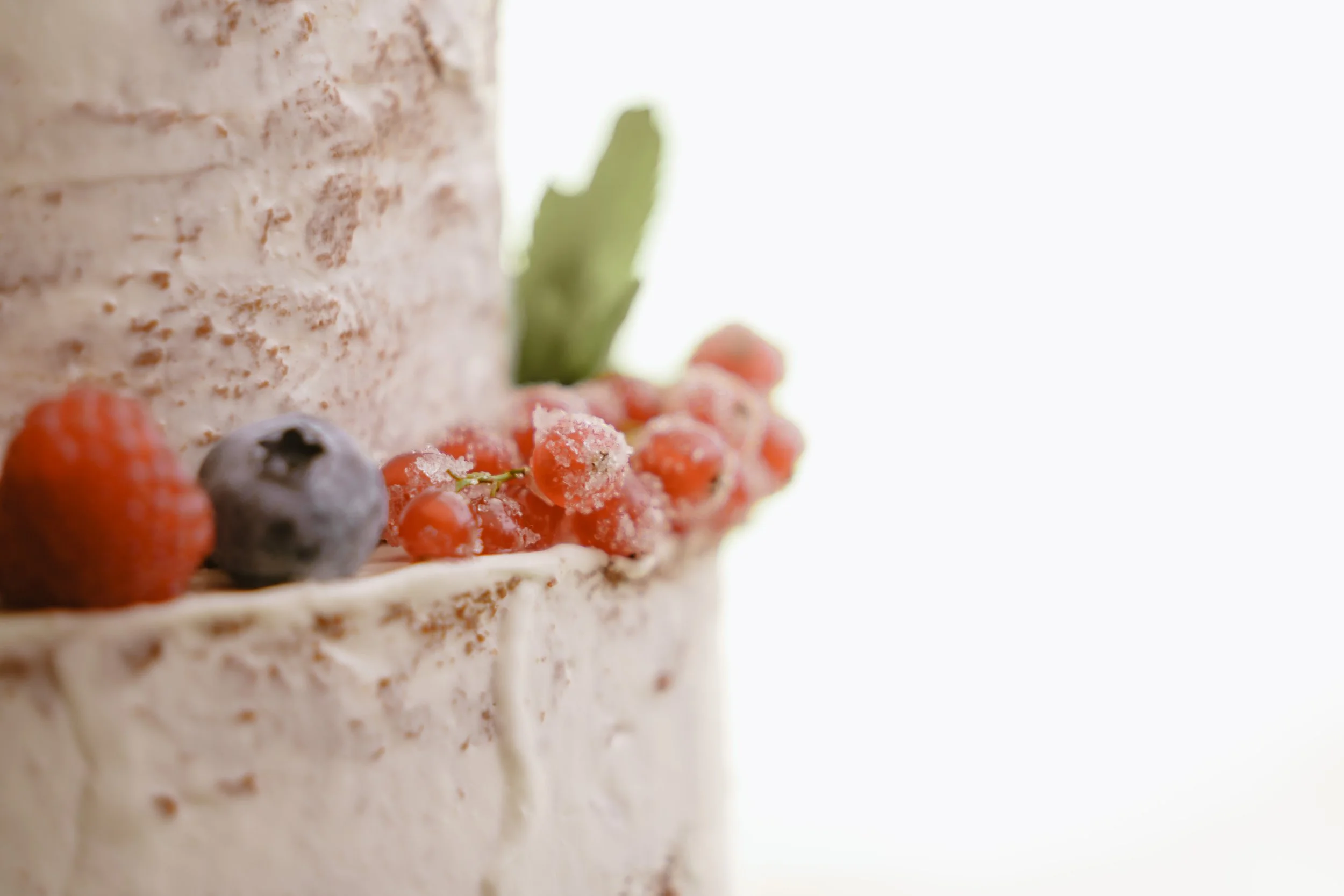 Stefanie & Christopher-16.jpg