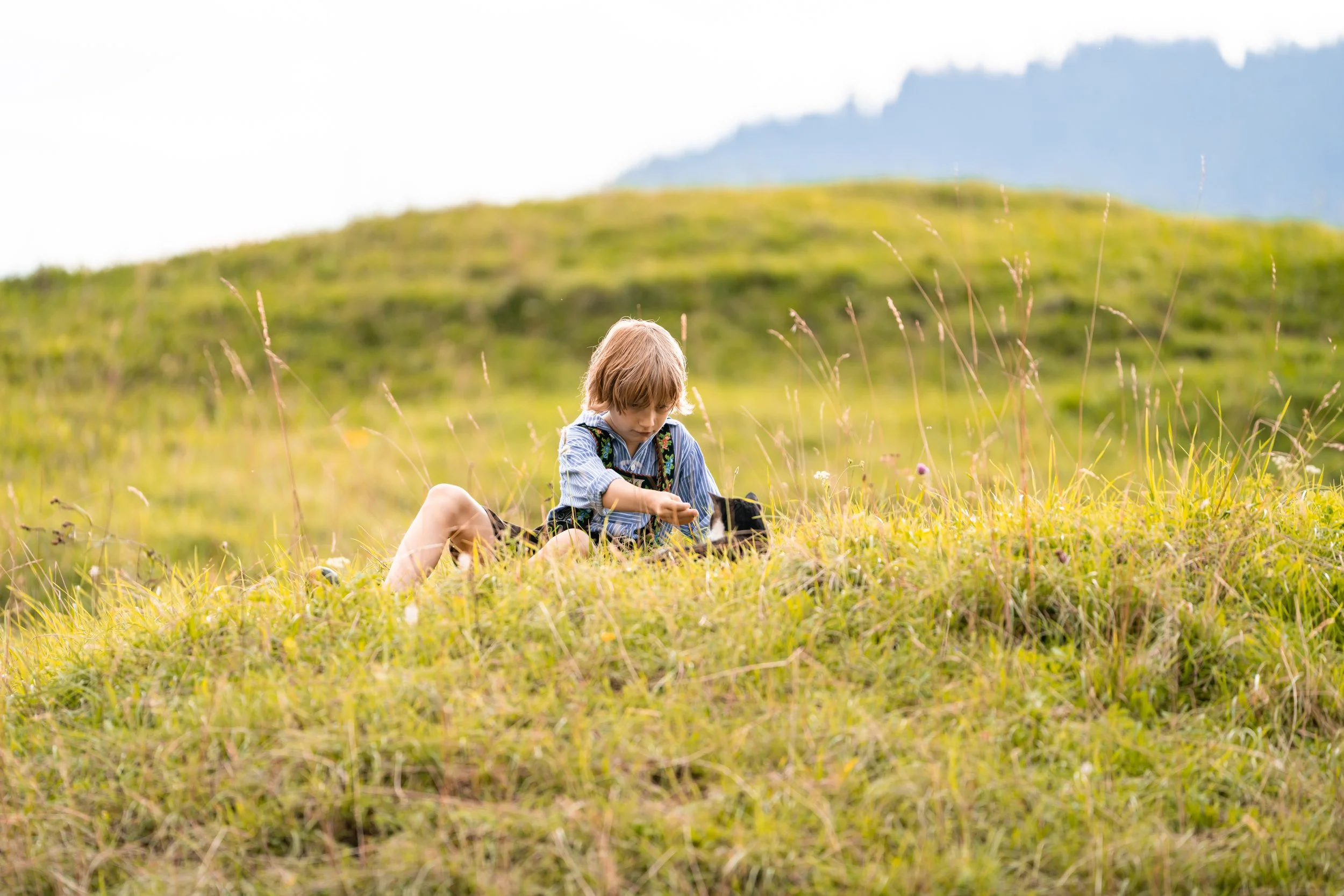 DSC03962 (Benutzerdefiniert).jpg