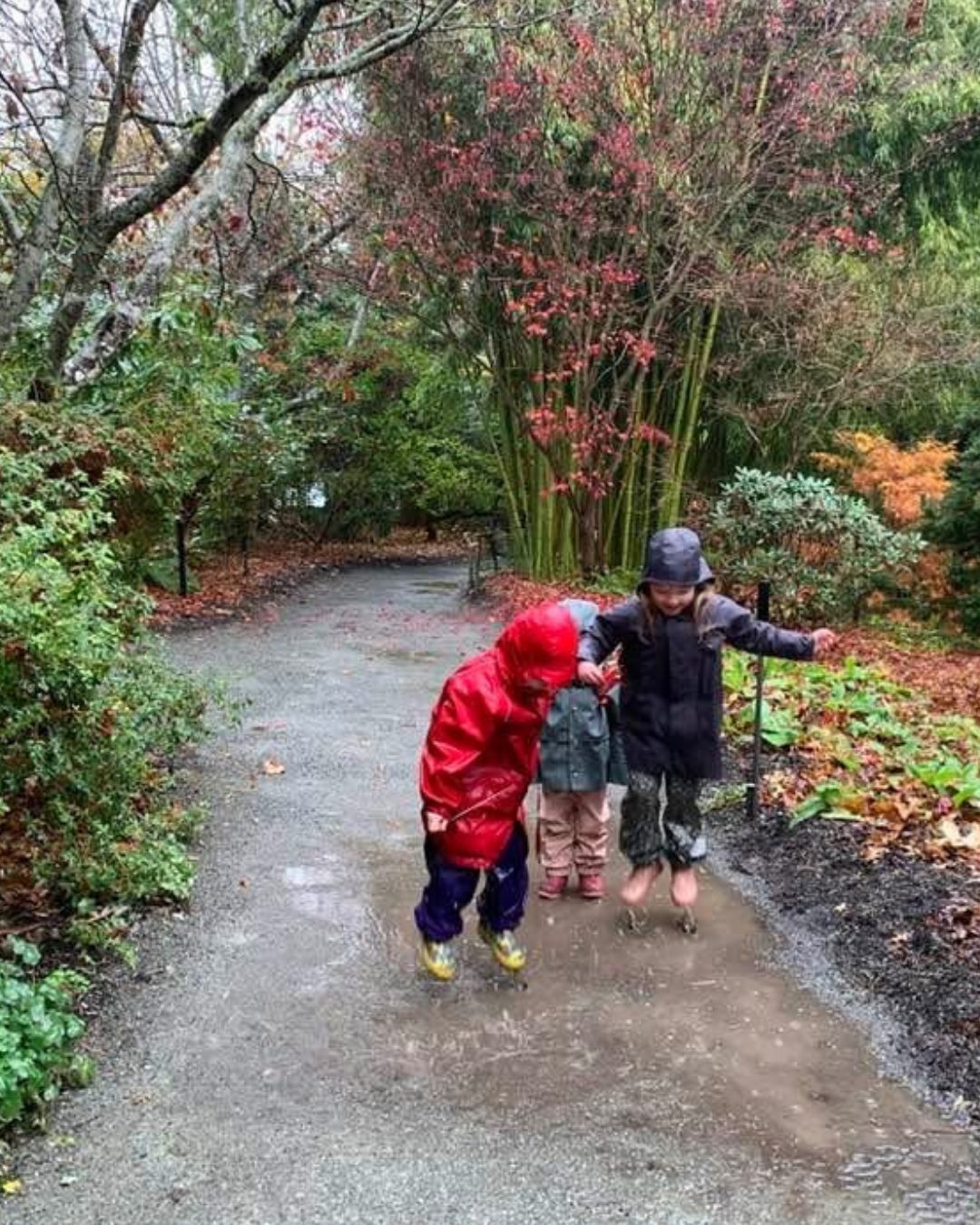 Marco's Daycare photo 2 (1).png