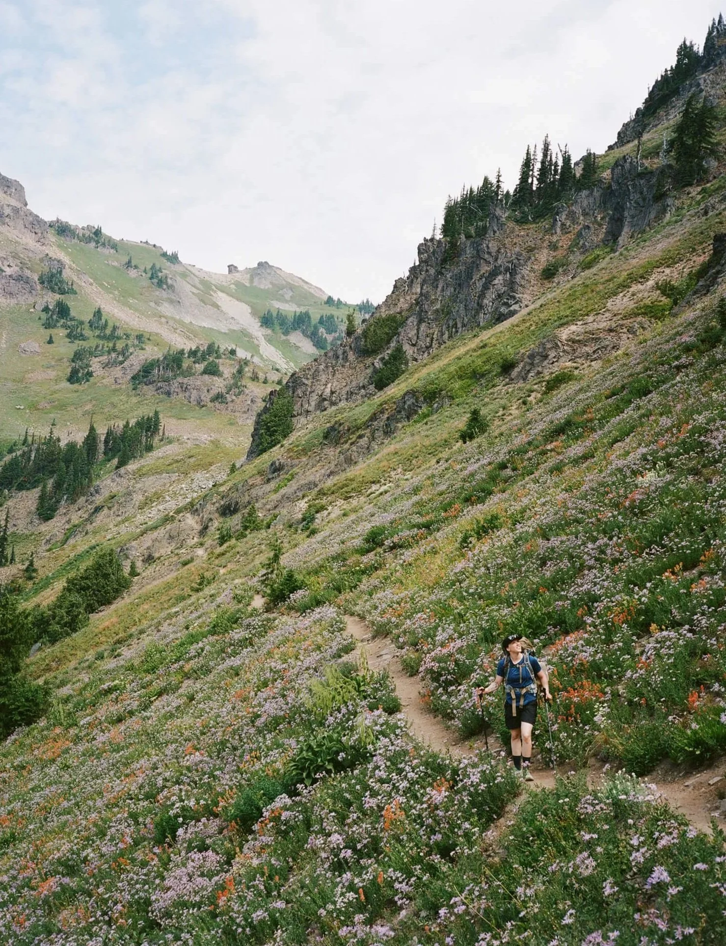 “Live in the sunshine, swim the sea, drink the wild air.”  
— Ralph Waldo Emerson