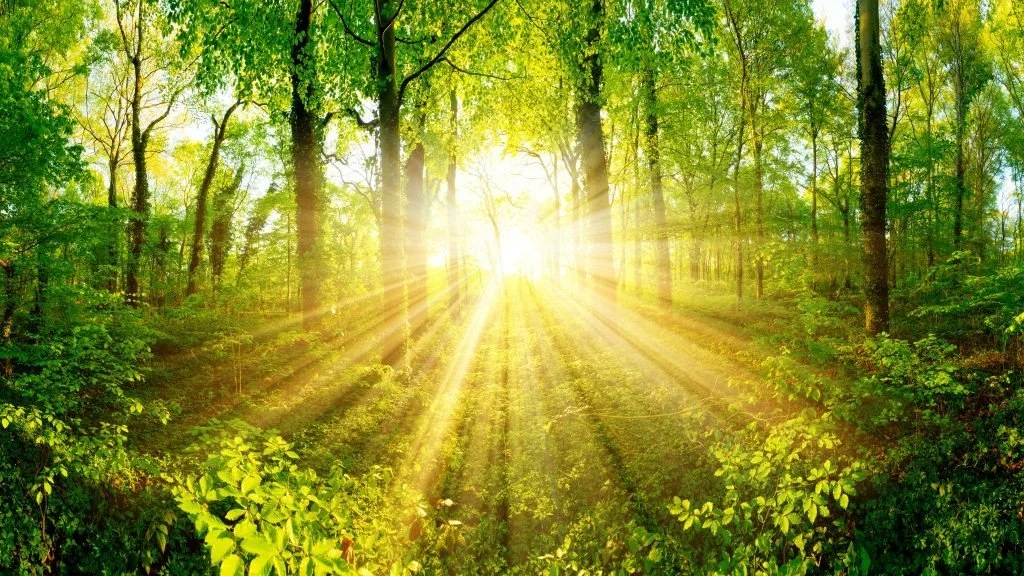 holistic-health-and-wellbeing