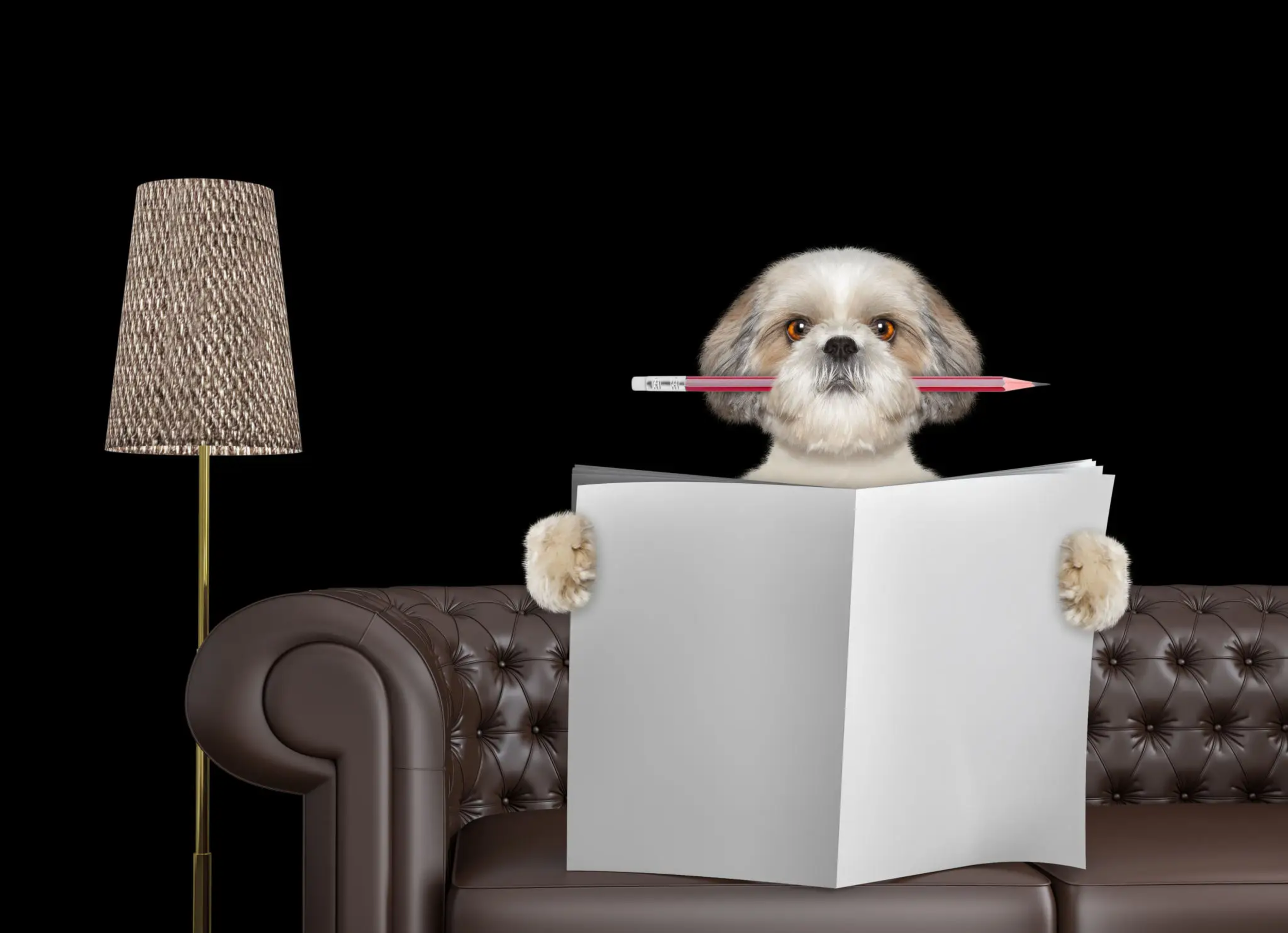 training-workshops-vicky-thompson