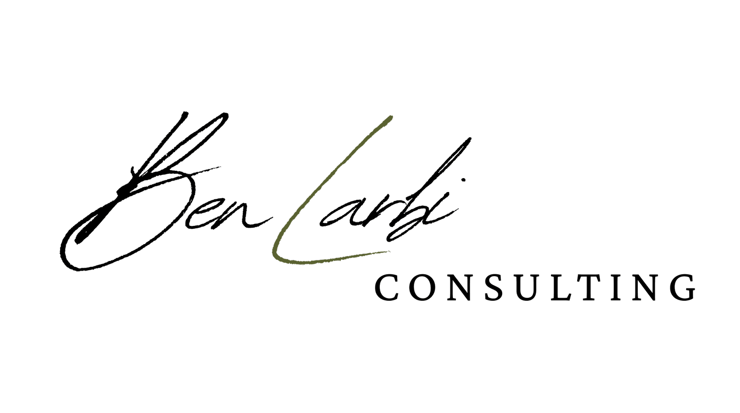 Ben Larbi Consulting
