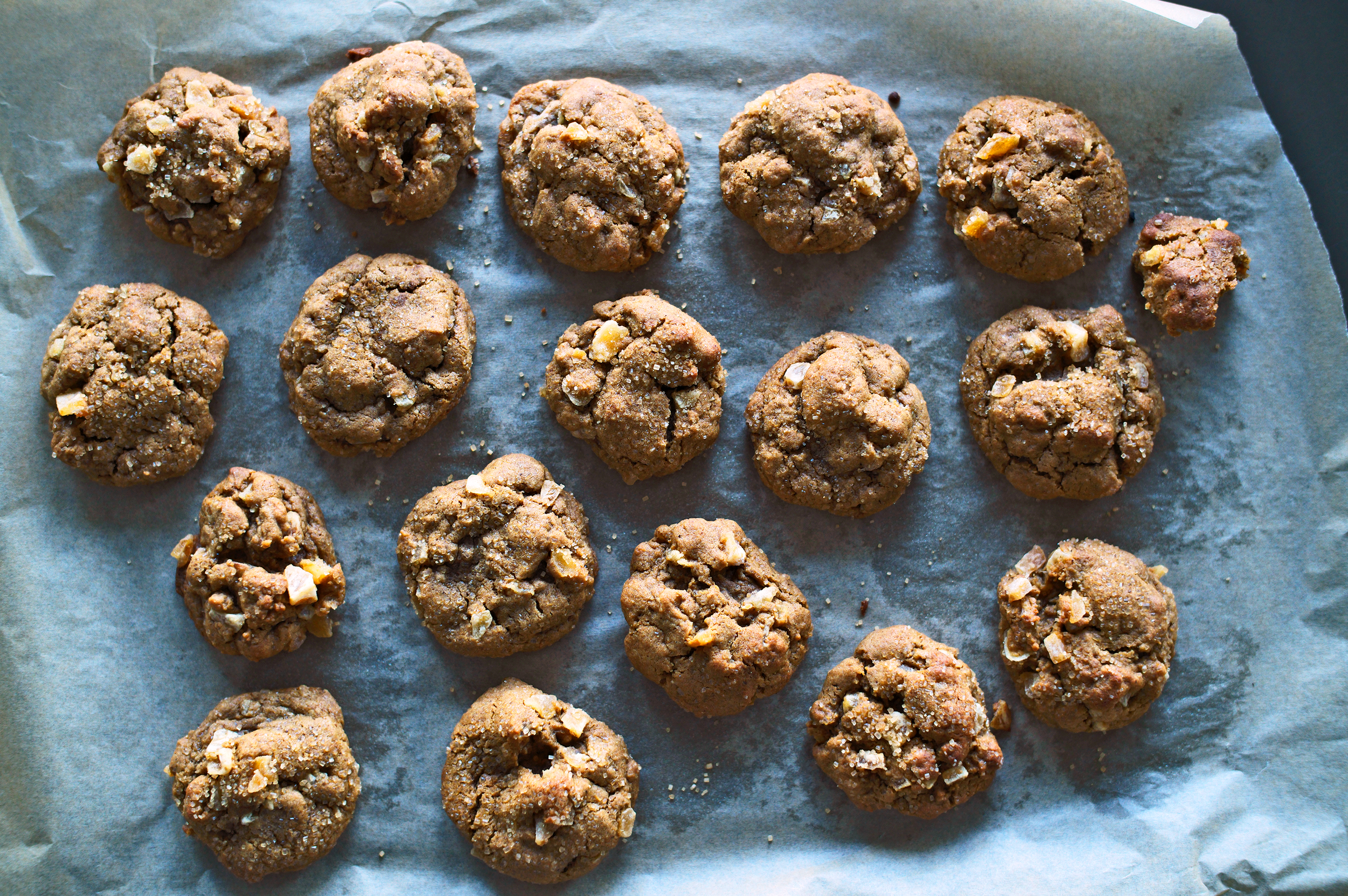 A Ginger Cookie Worth Publishing