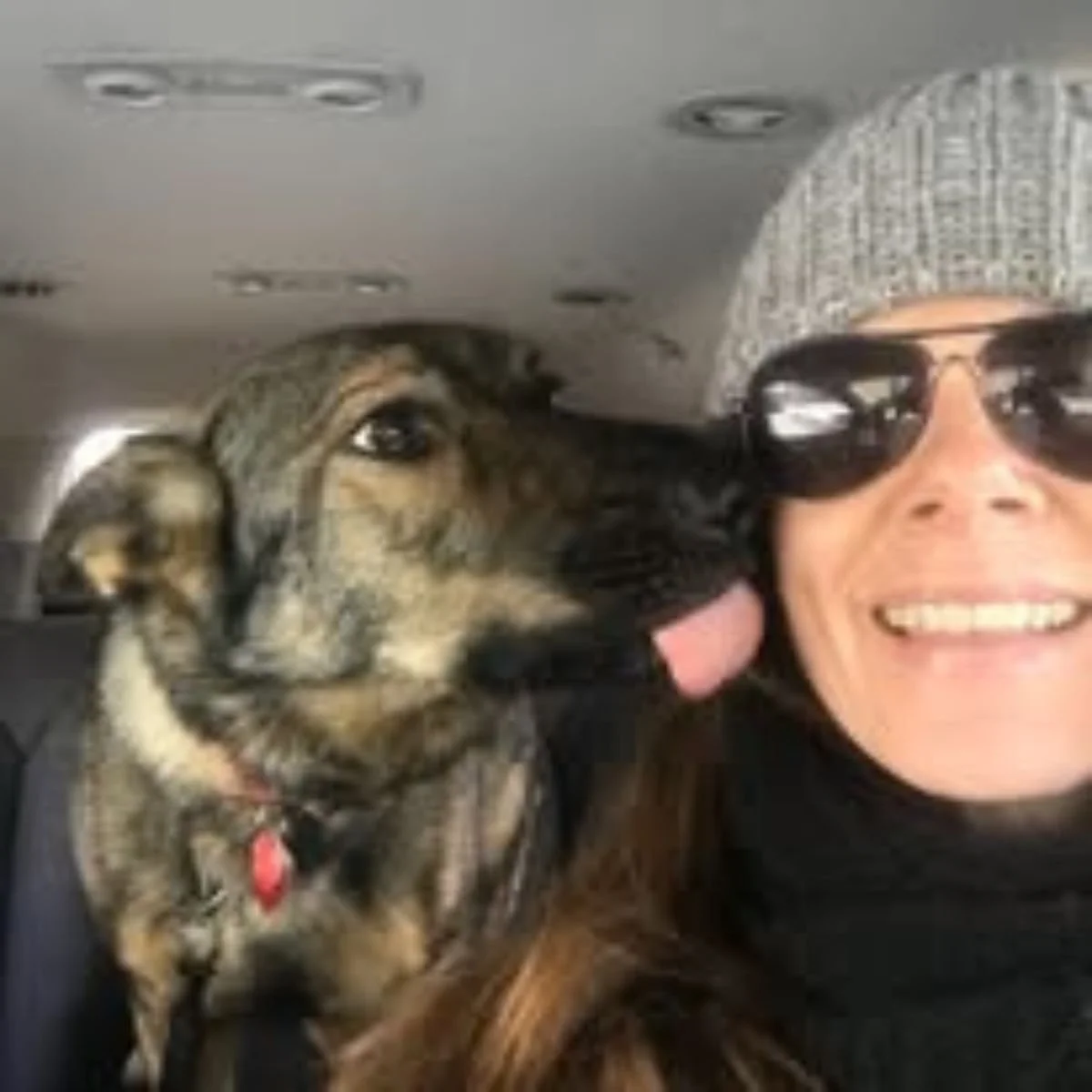 Joy Is a Choice (My Dog Proves It Every Day)