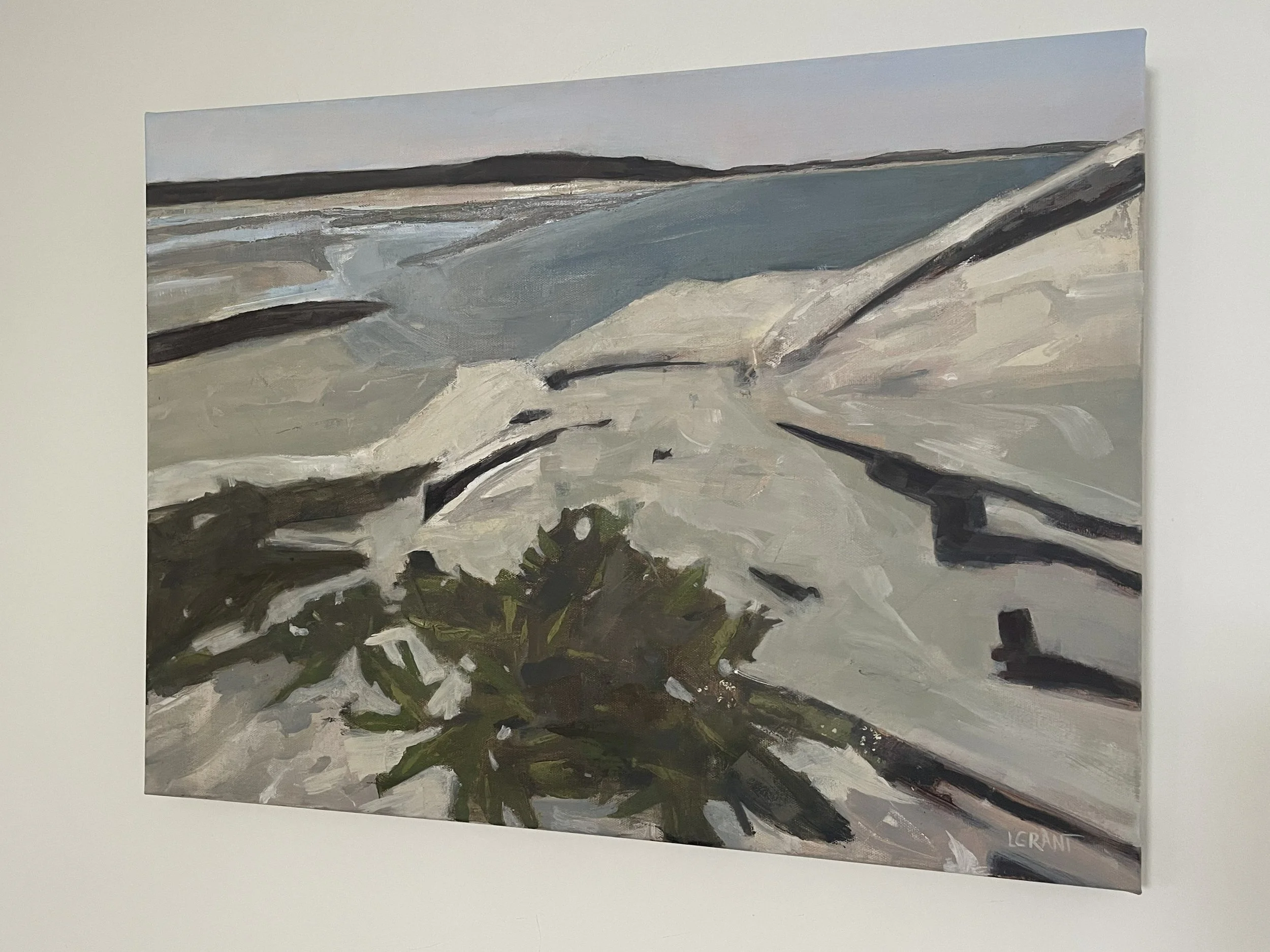 View From Fox Island