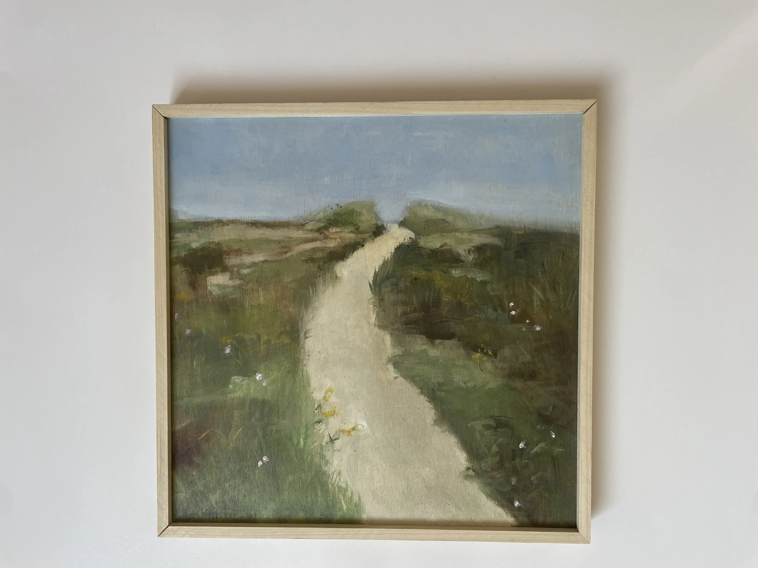 Dune at Hermit Island