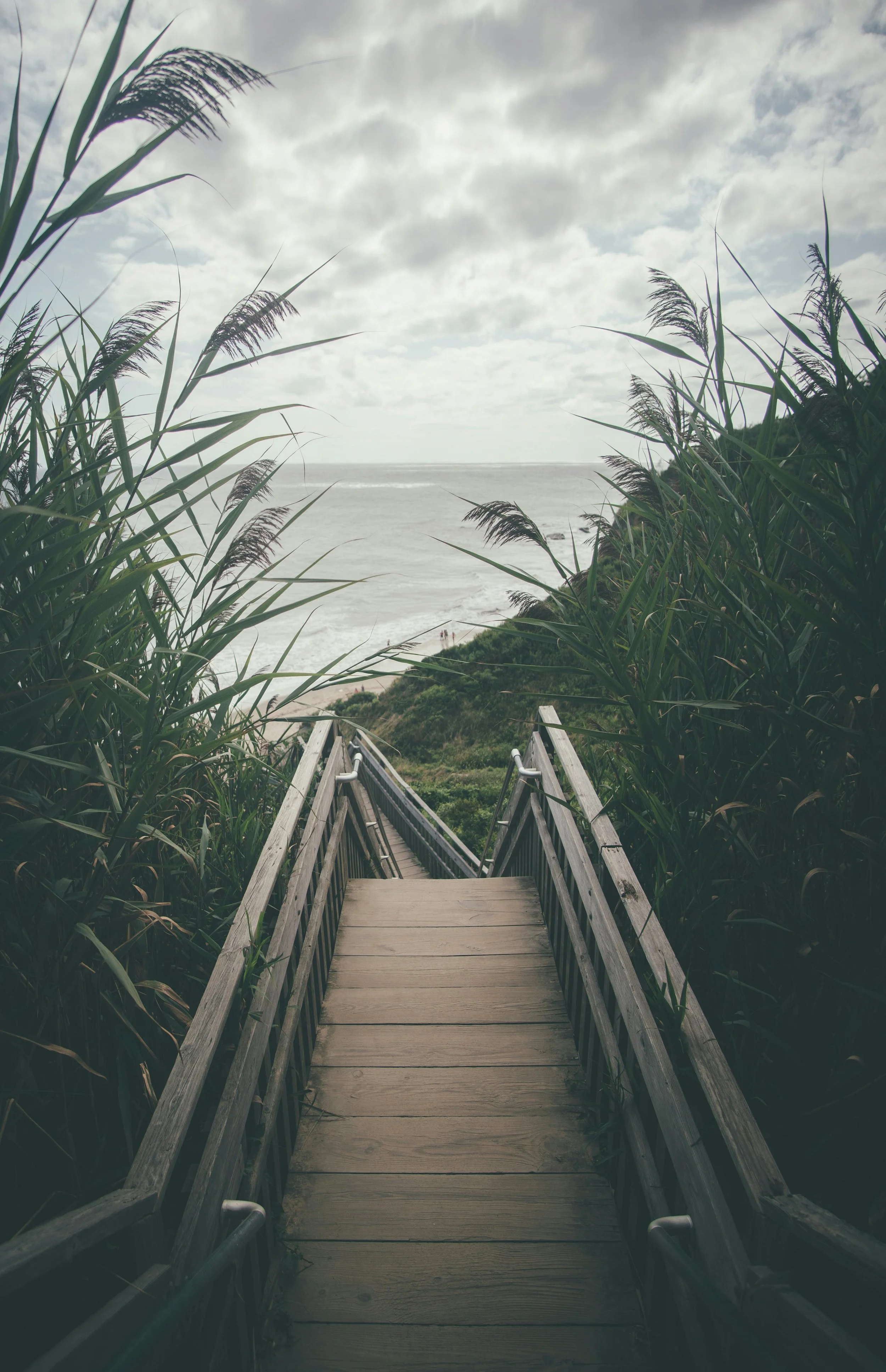 Wooden pathway leading down through tall green grass, overlooking the ocean under cloudy sky.