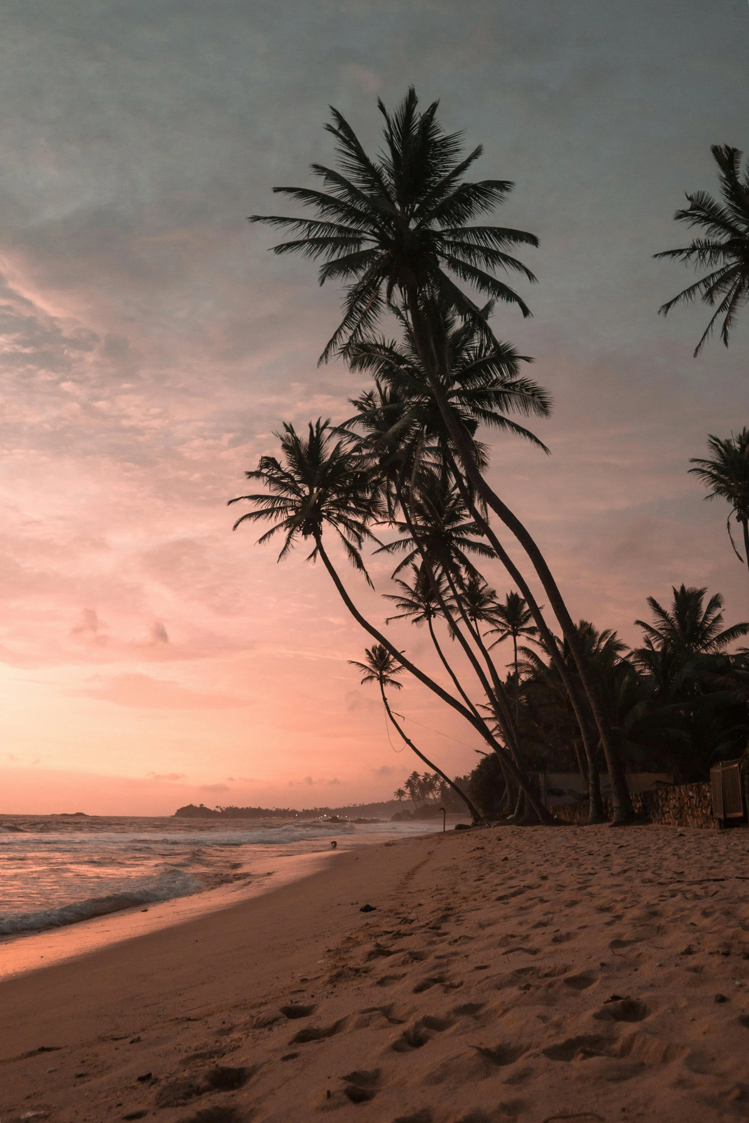 A beach scene at sunset with silhouettes of palm trees along the shoreline, pink and purple sky, and calm ocean waves.