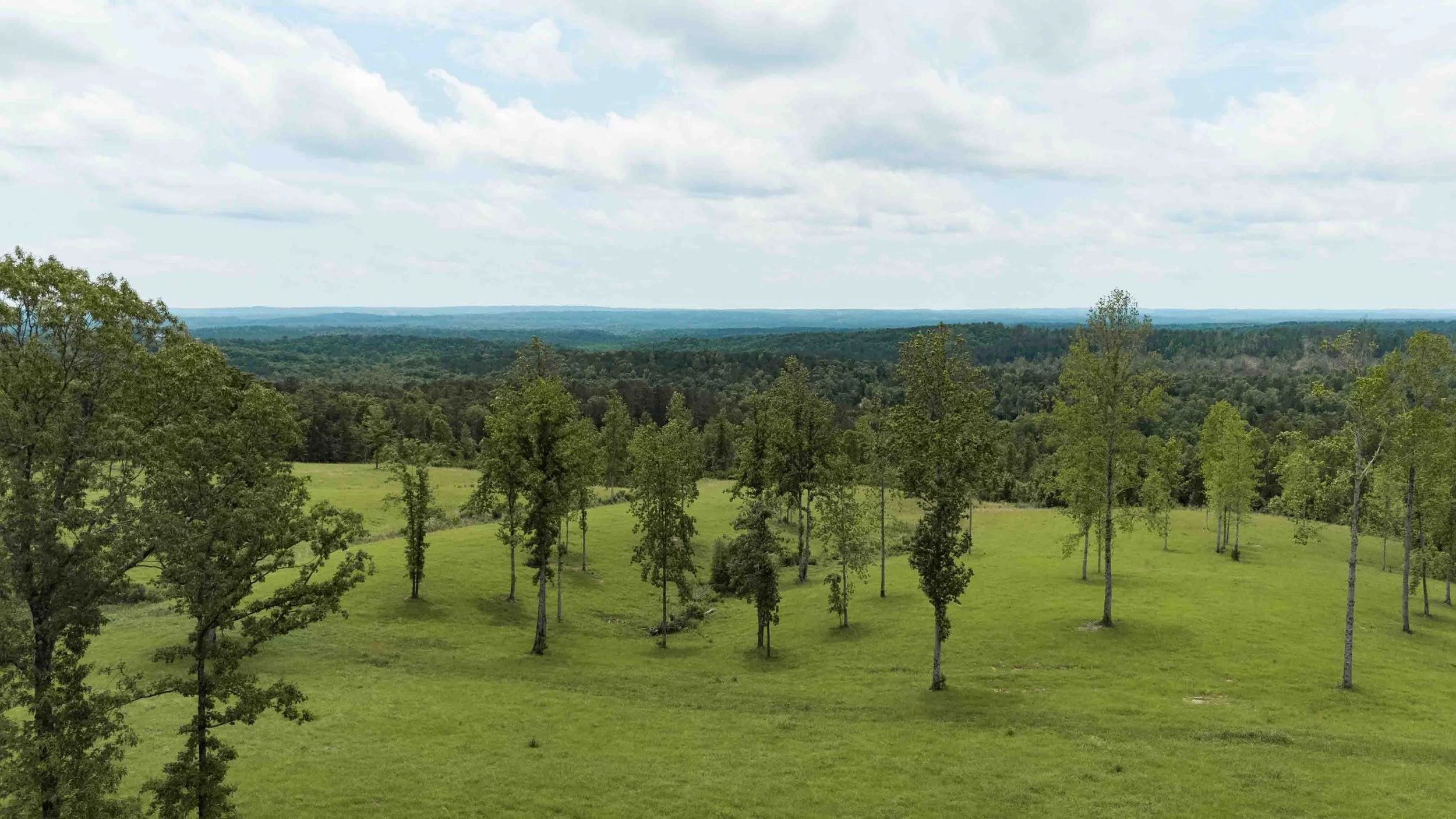 A landscape view of a grassy field with scattered trees under a partly cloudy sky, extending to a distant horizon.