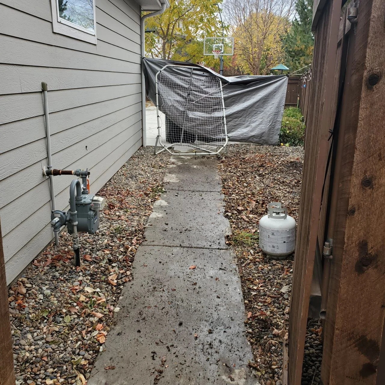 Backyard alleyway with a concrete pathway, a propane tank on the right, a water meter on the left, fallen leaves, and a collapsed soccer goal covered by a tarp at the end of the path. There are trees with autumn foliage and a basketball hoop in the b