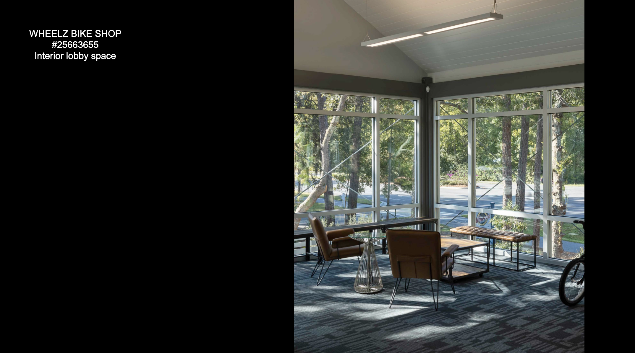 Screen Shot 2023-01-20 at 11.00.03 AM.png