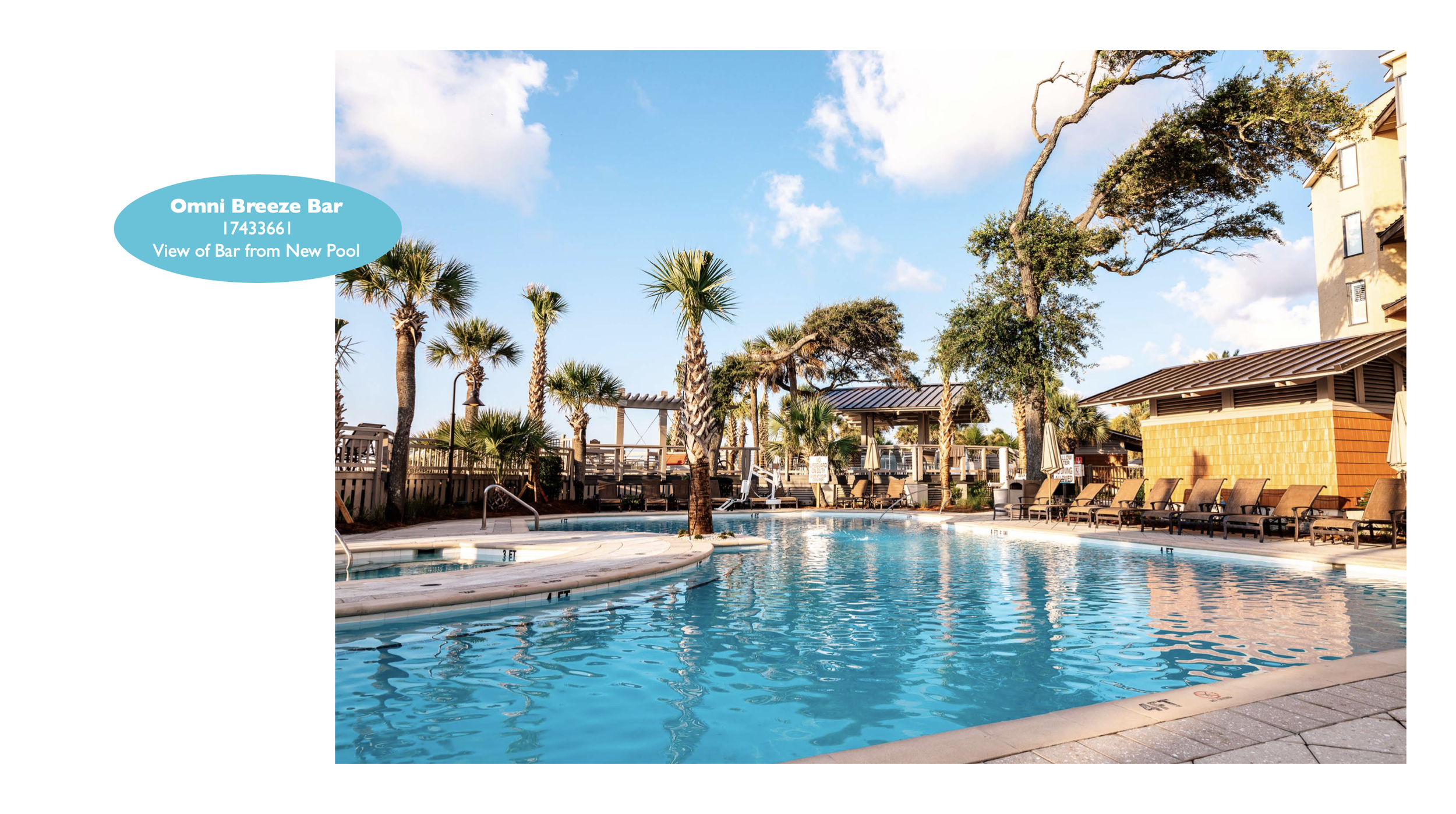 Screen Shot 2023-01-20 at 10.33.33 AM.png