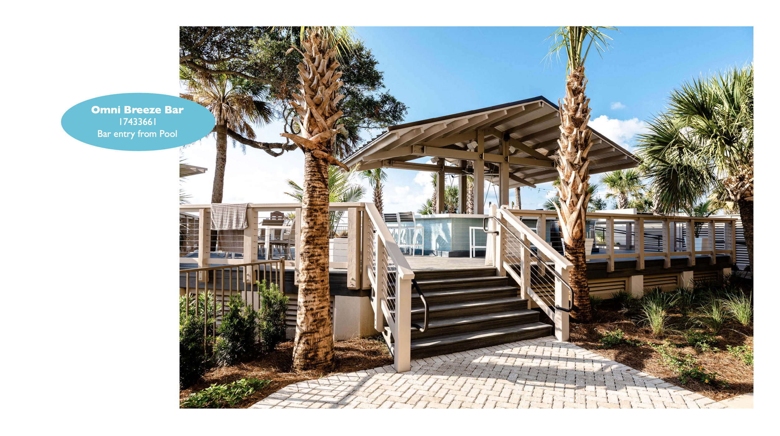 Screen Shot 2023-01-20 at 10.33.47 AM.png