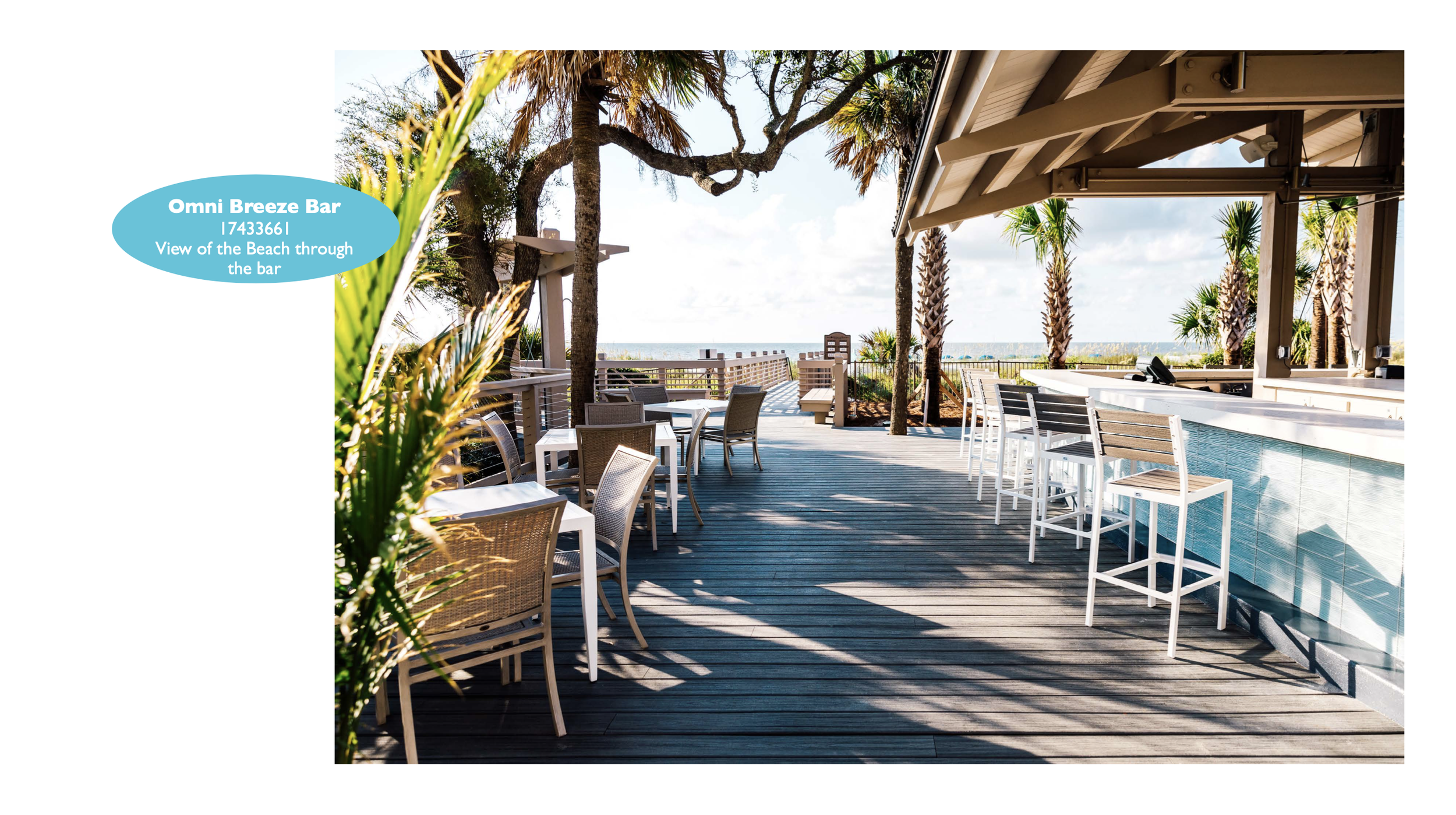 Screen Shot 2023-01-20 at 10.34.19 AM.png