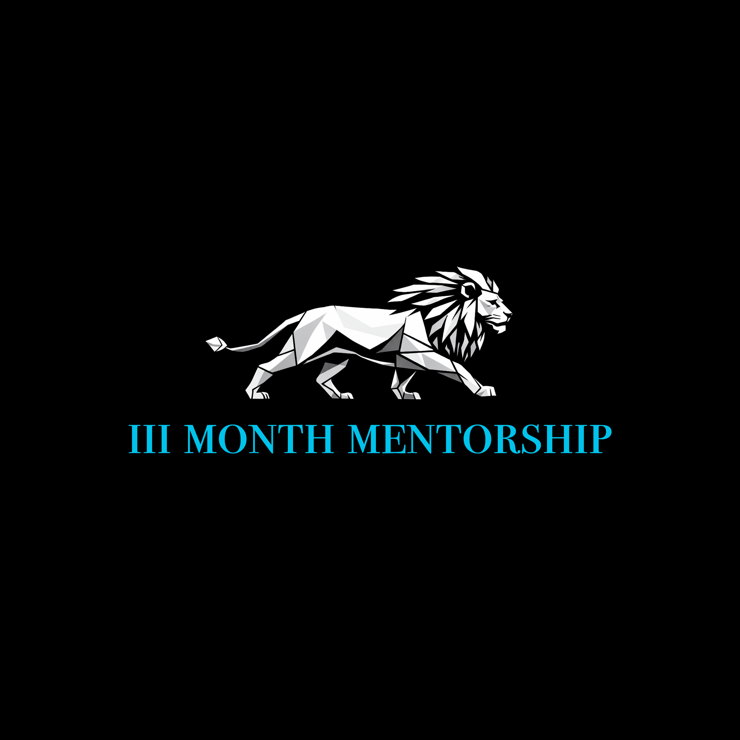 3 Month Mentorship