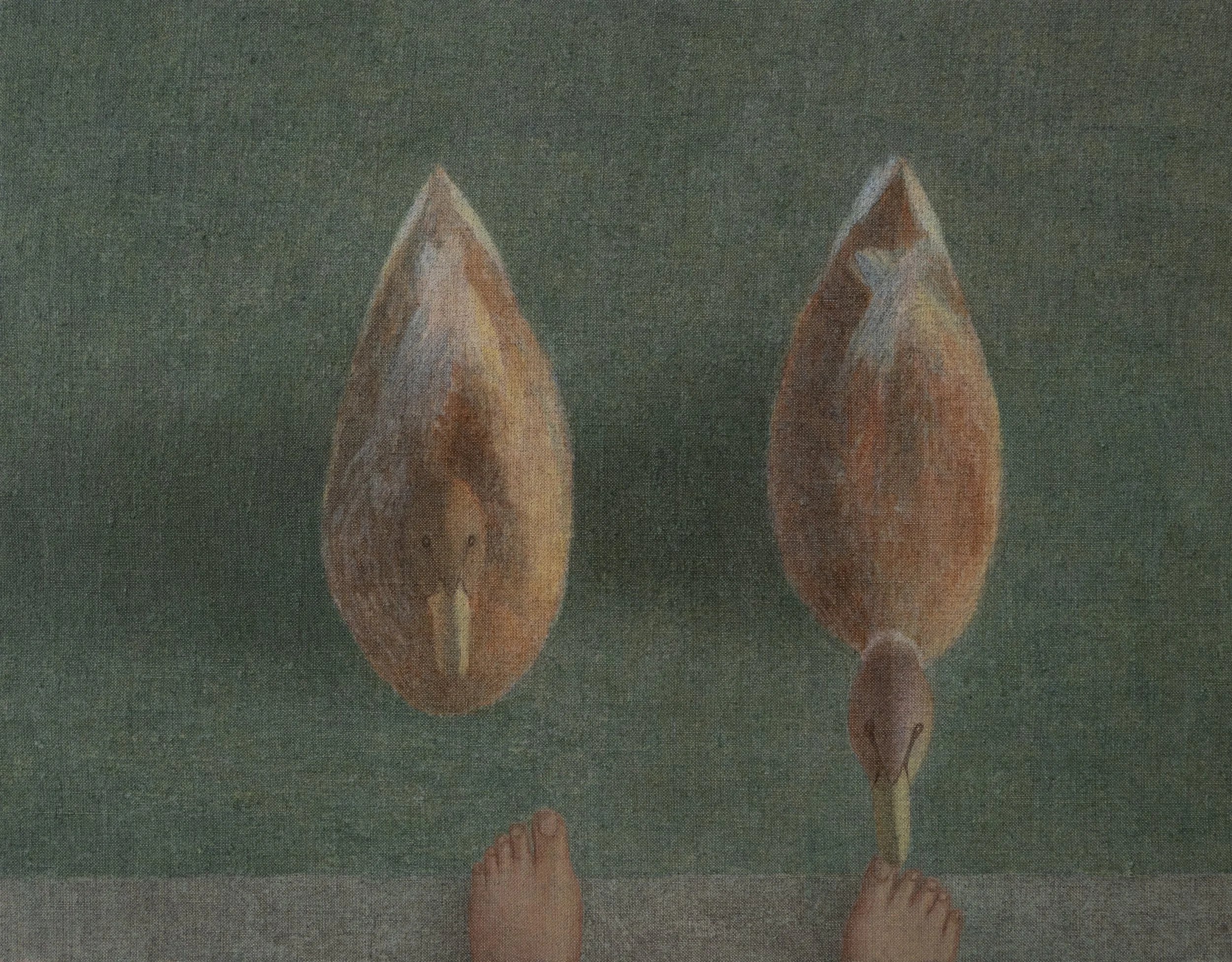 View of two mallard ducks with brown and green coloring standing on a surface, seen from above, with human feet visible at the bottom of the image.