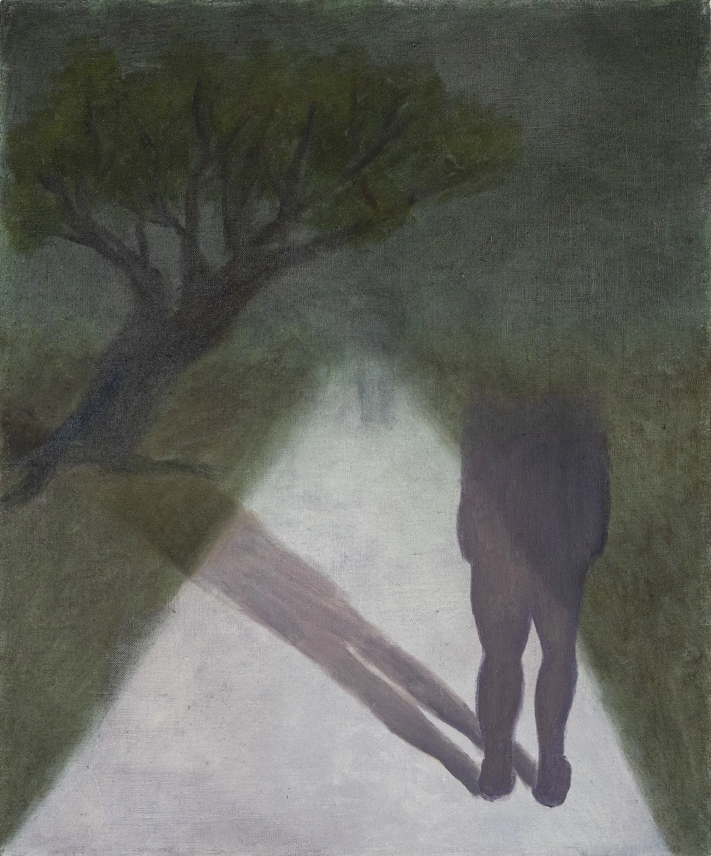 A person walking on a pathway lined with trees, with their back facing the viewer, in a scenic outdoor setting.