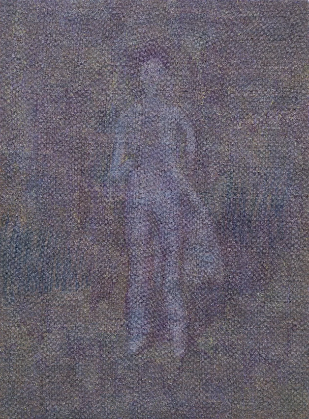 A blurry, pixelated image of a person riding a horse on a dirt path, surrounded by grass and tall wild plants.