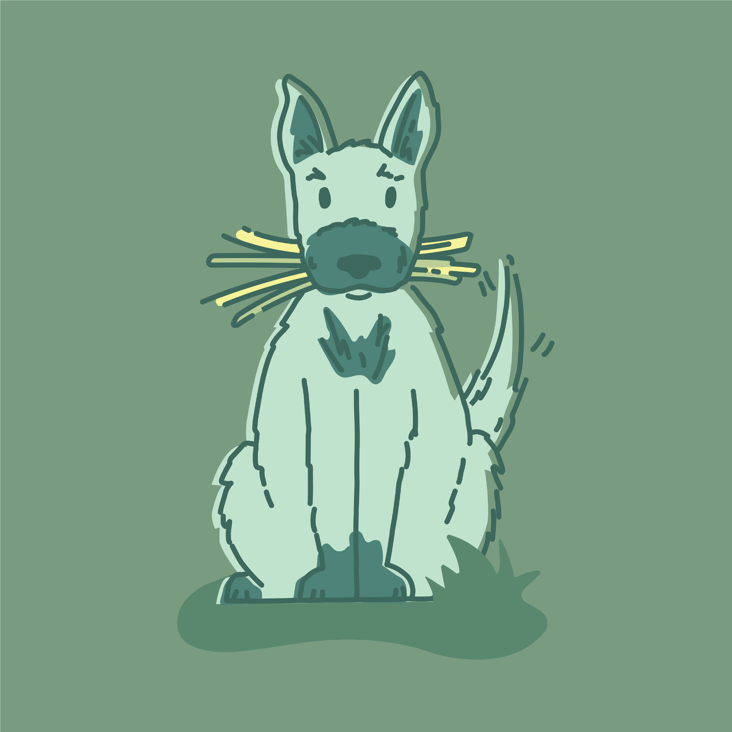 Portfolio-PetTinyTerraAssets1-11.png