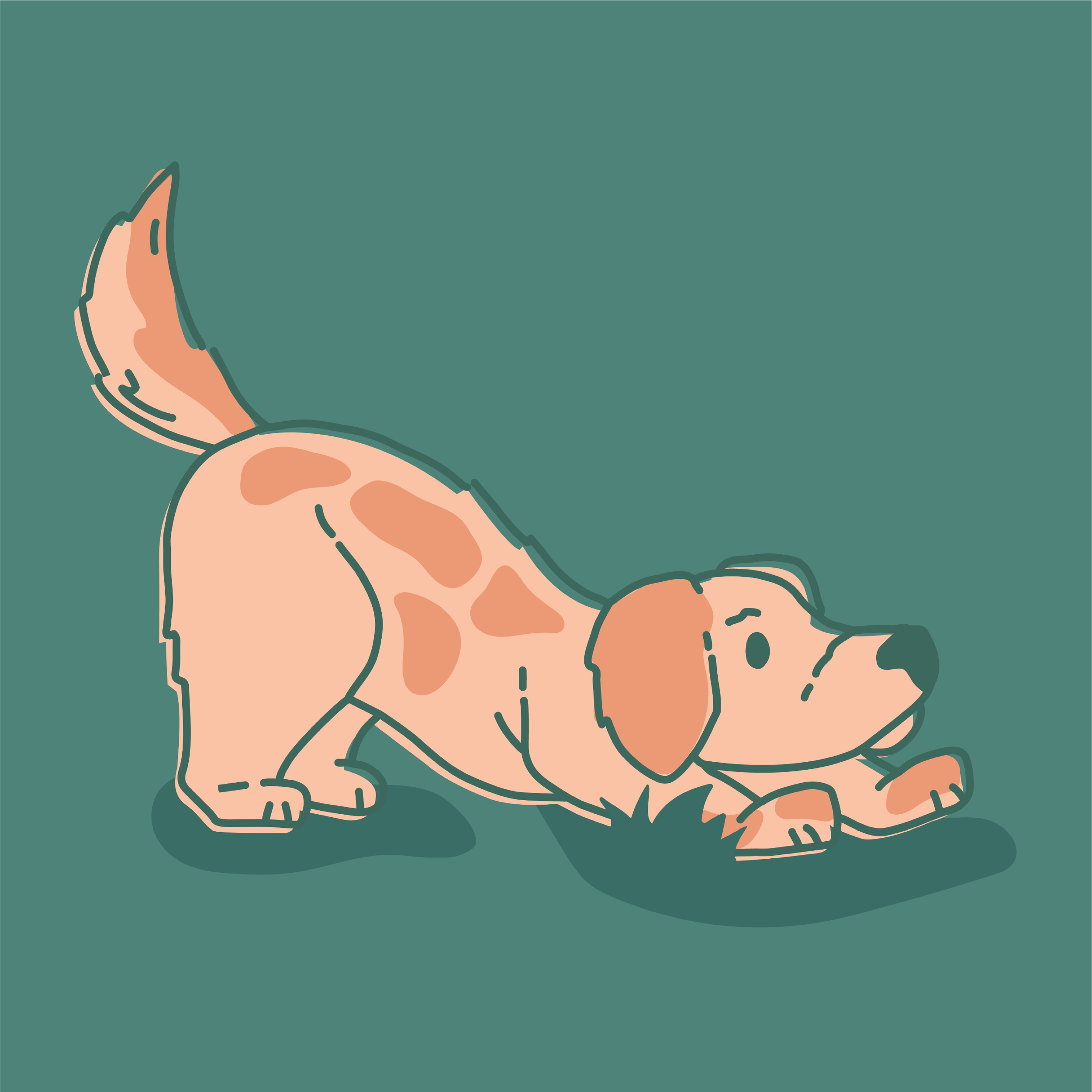 Portfolio-PetTinyTerraAssets1-13.png