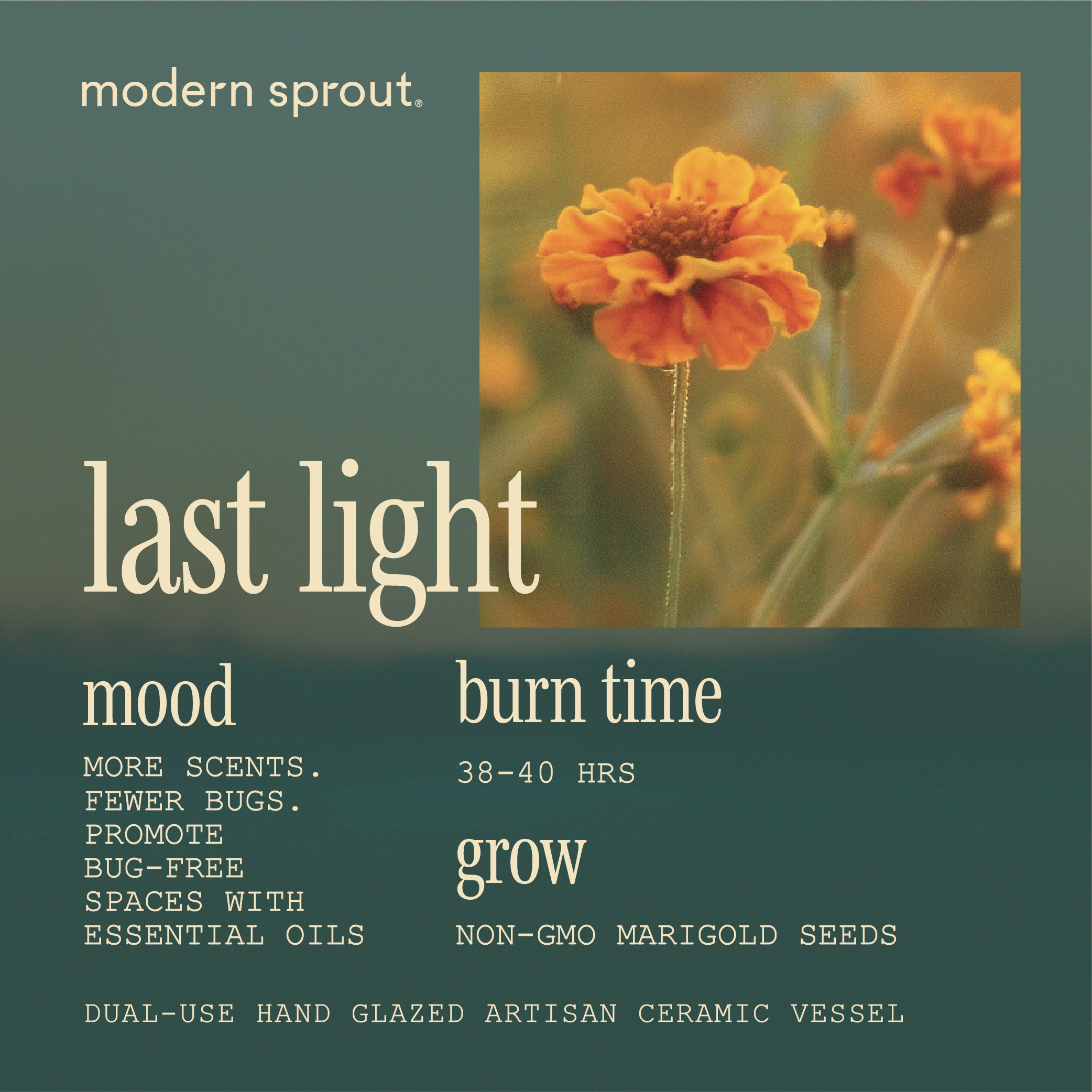 Website-GardenVibes-Assets-22.png