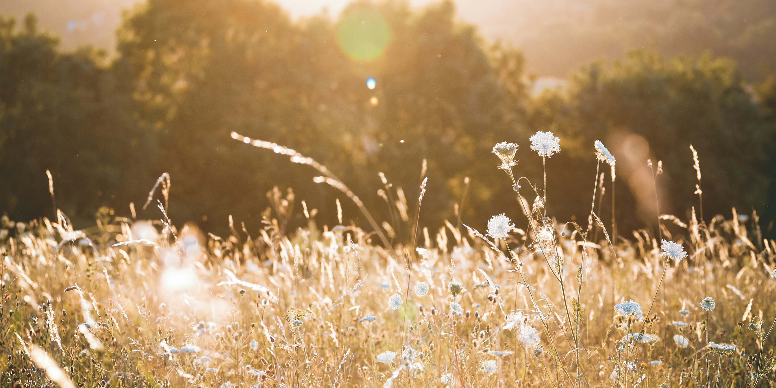 Portfolio-ElaineWeddingAssets-7.png