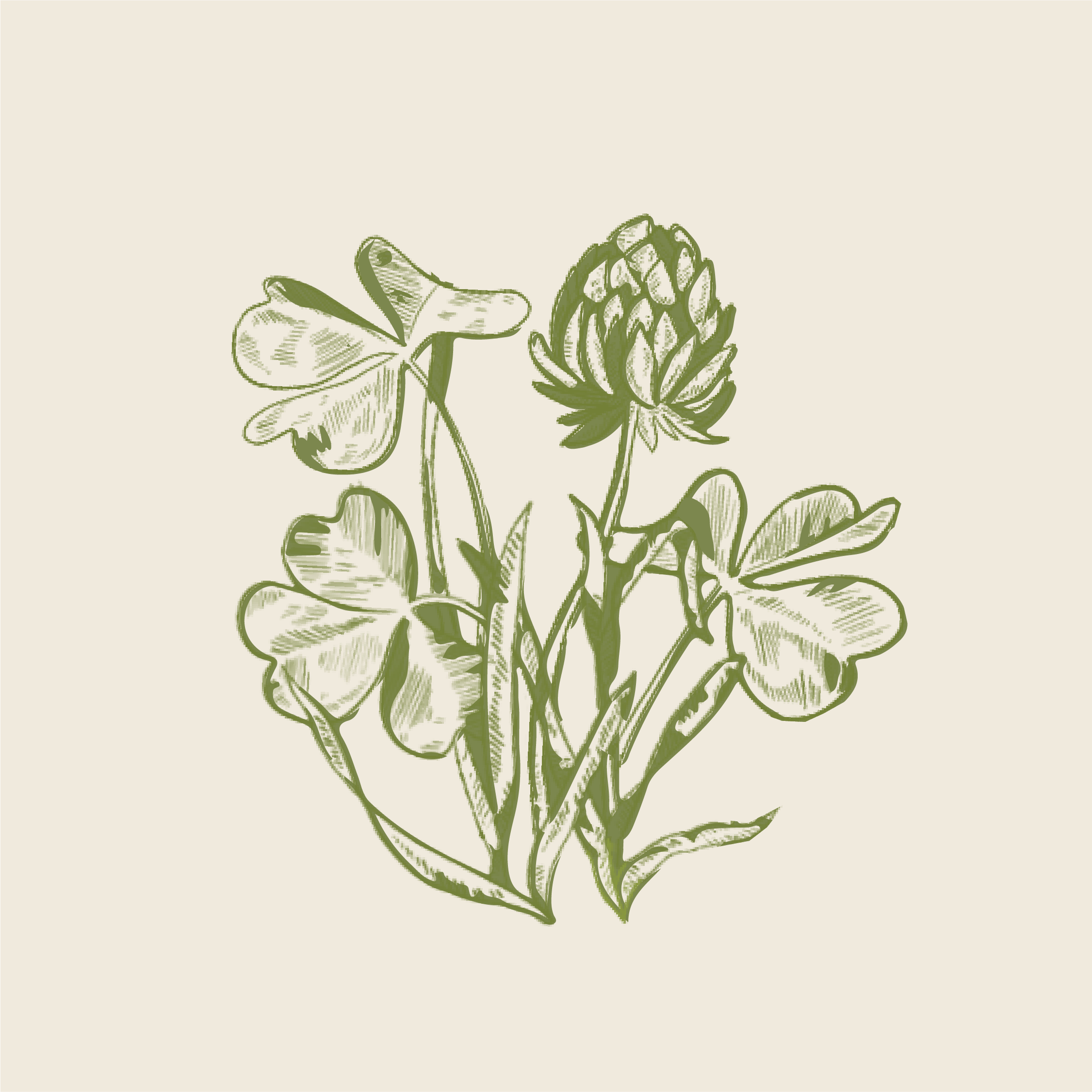 Portfolio-ElaineWeddingAssets-14.png