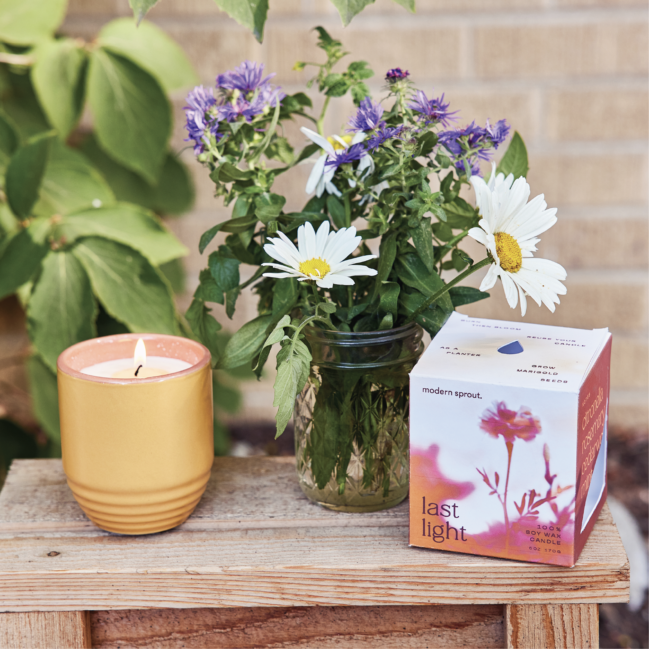 Website-GardenVibes-Assets-11.png