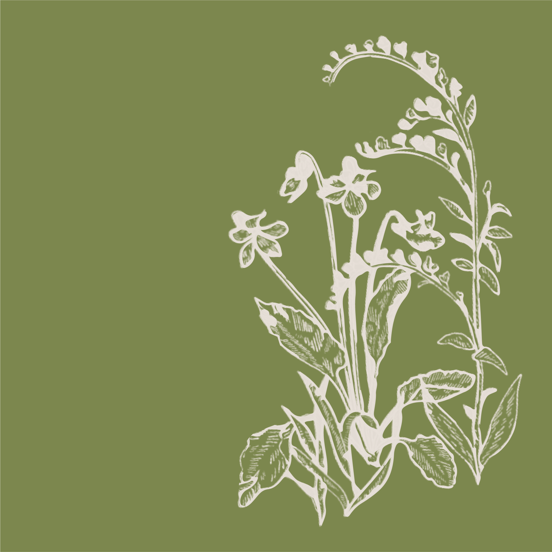 Portfolio-ElaineWeddingAssets-15.png
